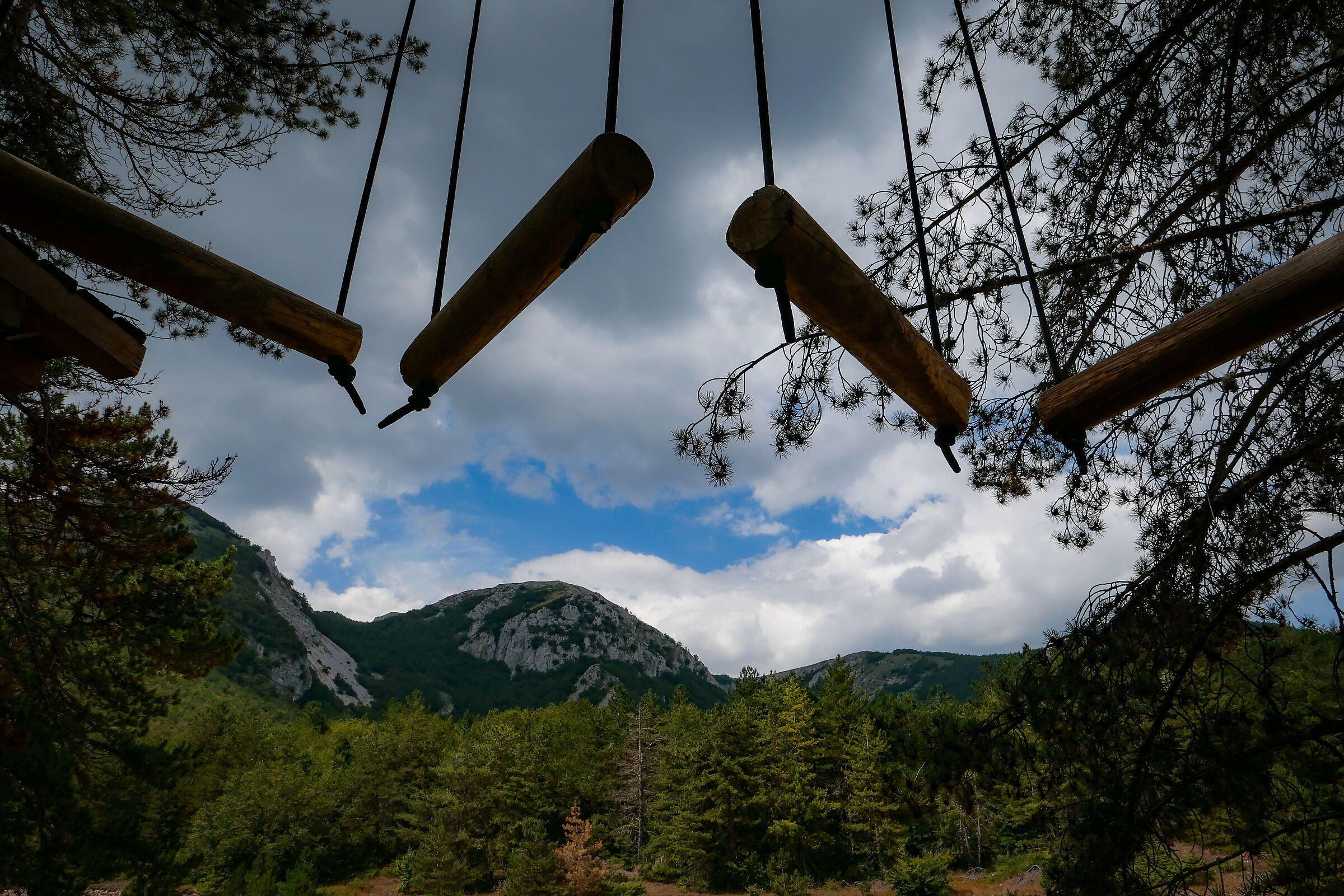 Parco avventura