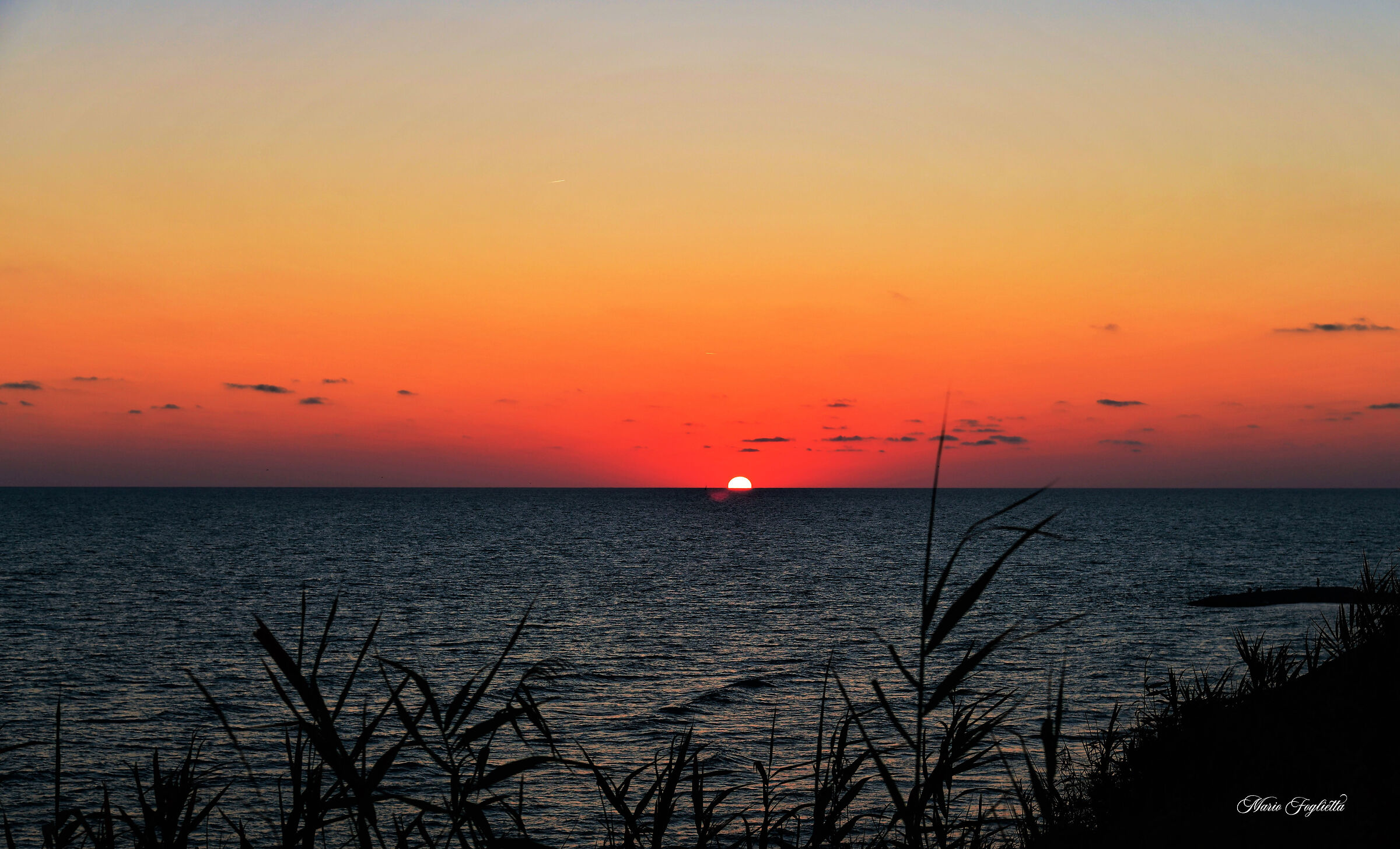 I invite you to dream, I offer