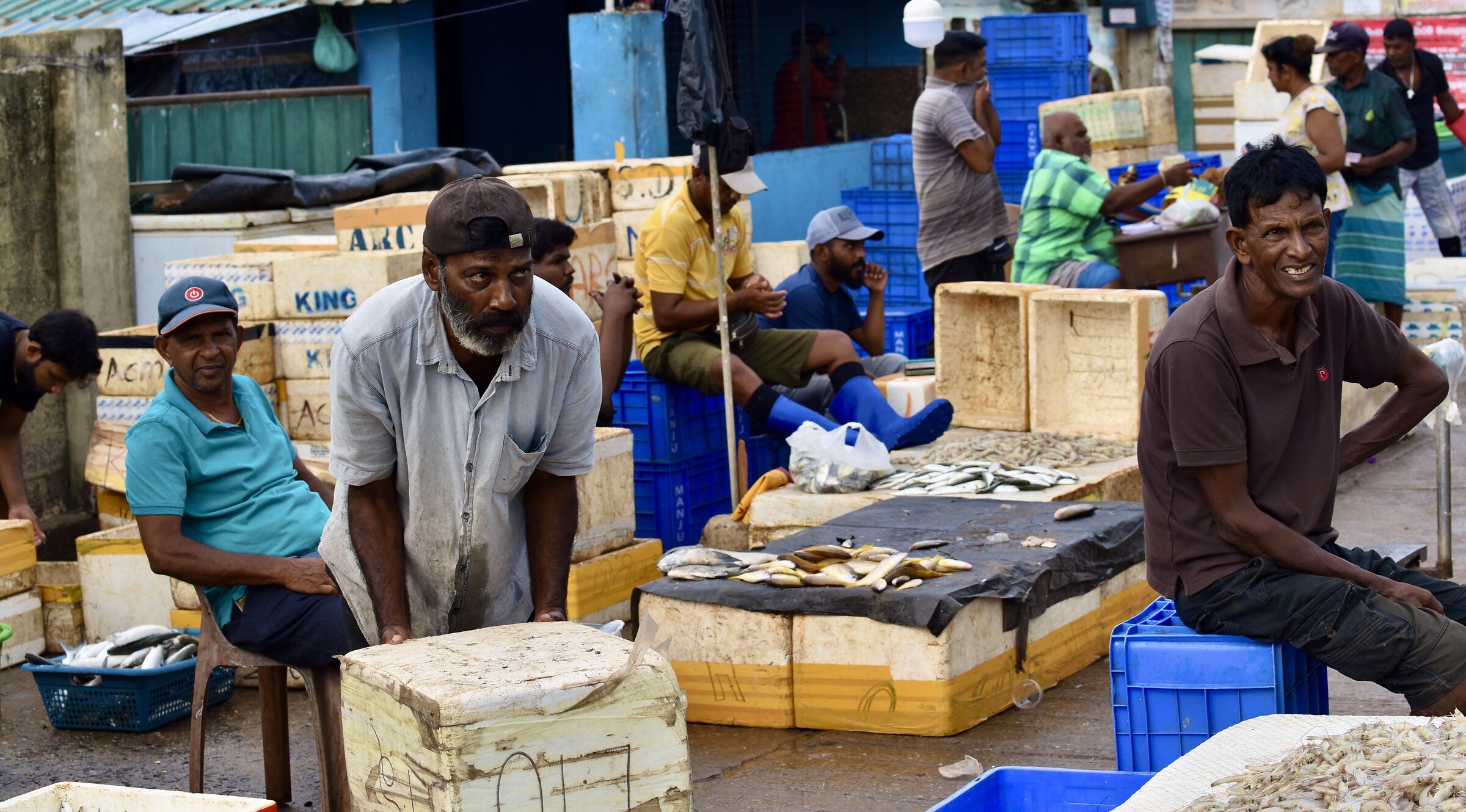 Fish sellers -2