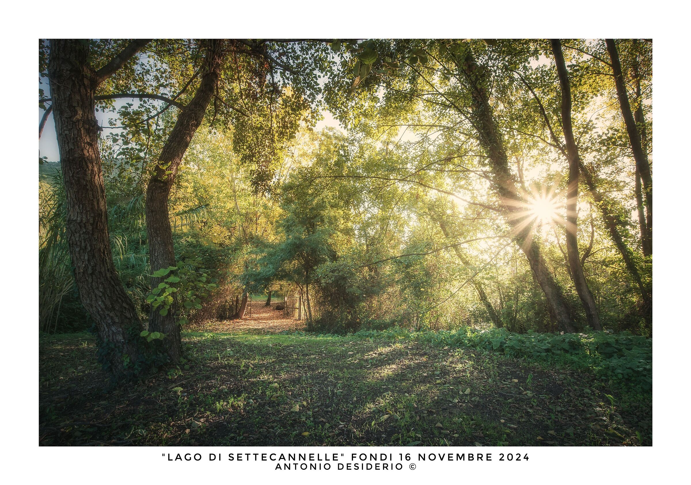 Morning light