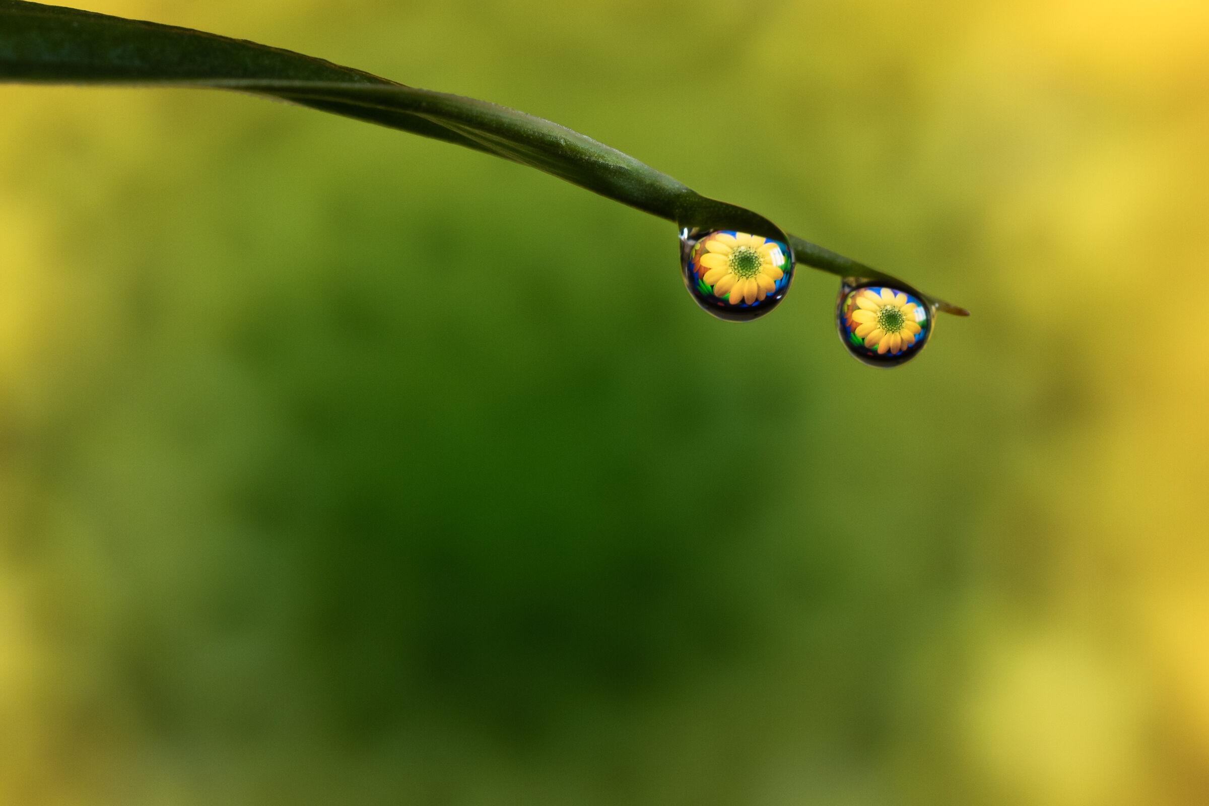 Drops