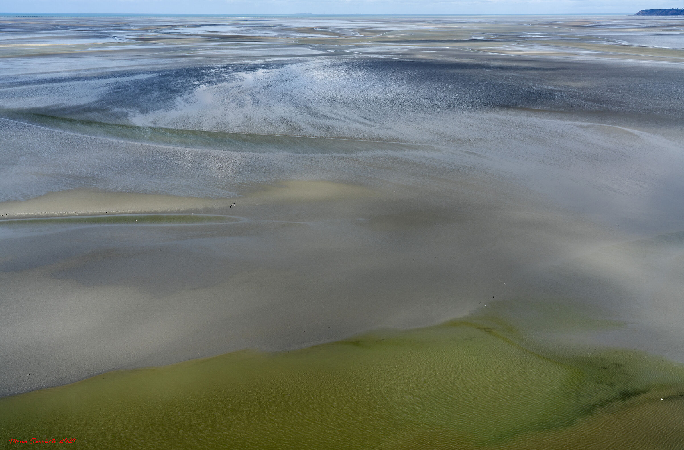 Sfumature di bassa marea