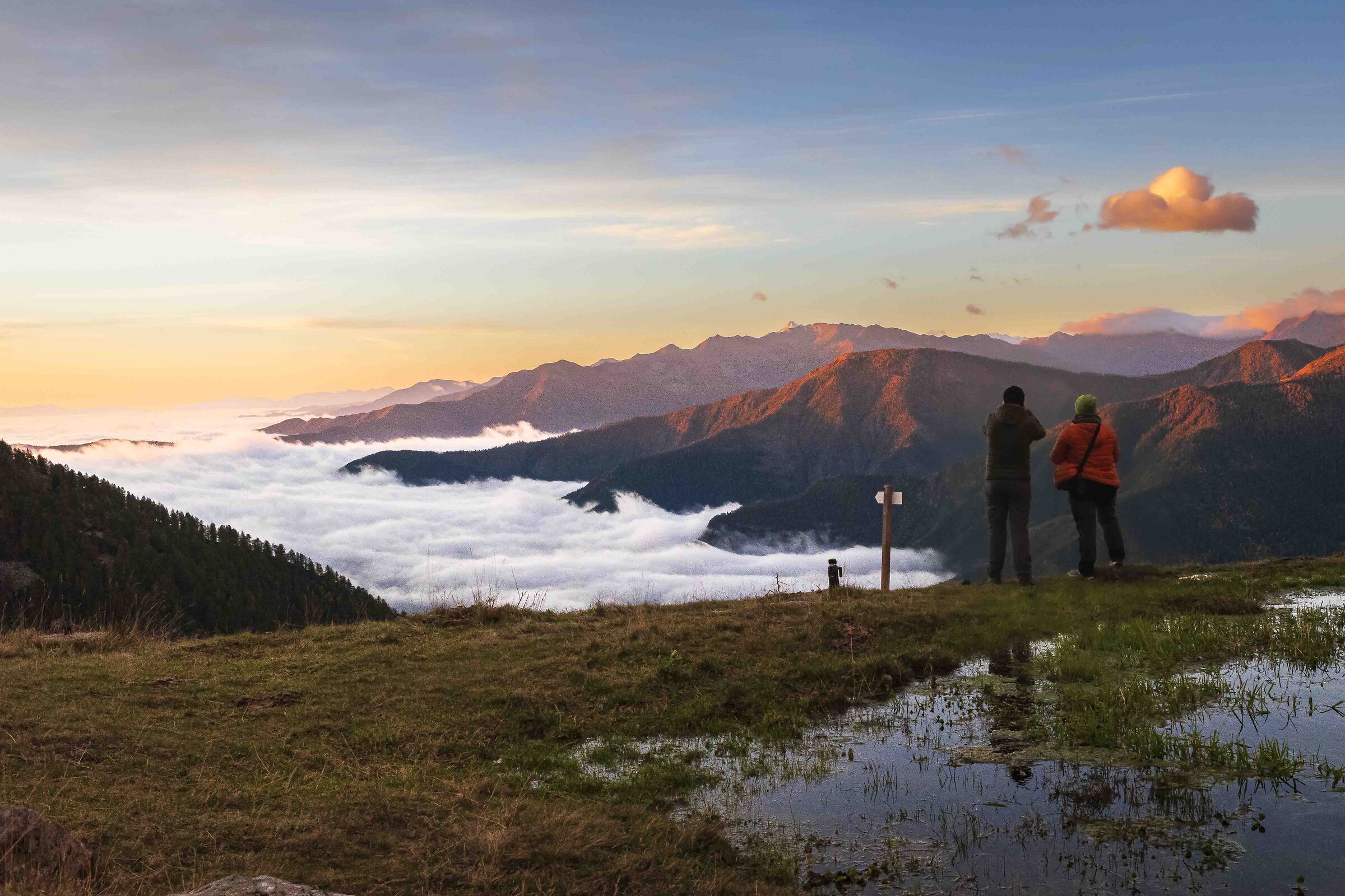 Above the clouds