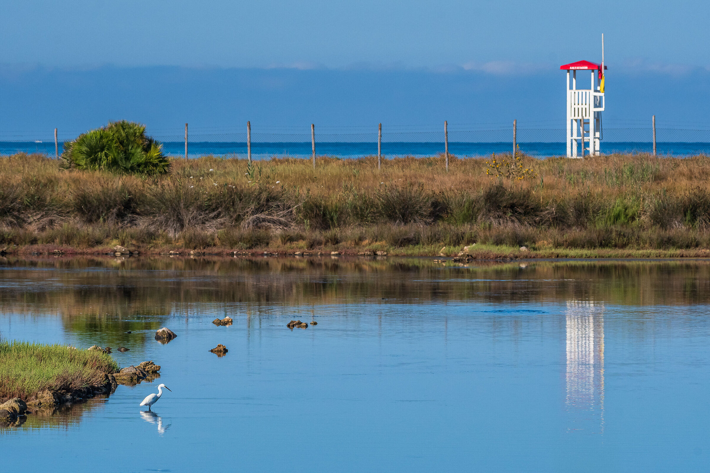 Oasis & Salt Pans #5
