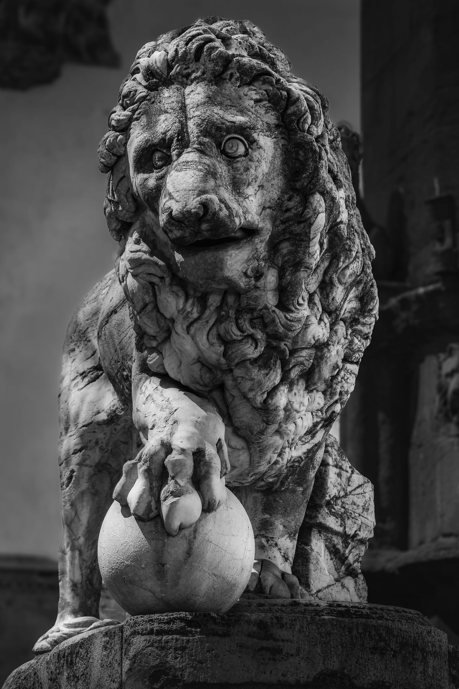 Il leone di Piazza della Signoria
