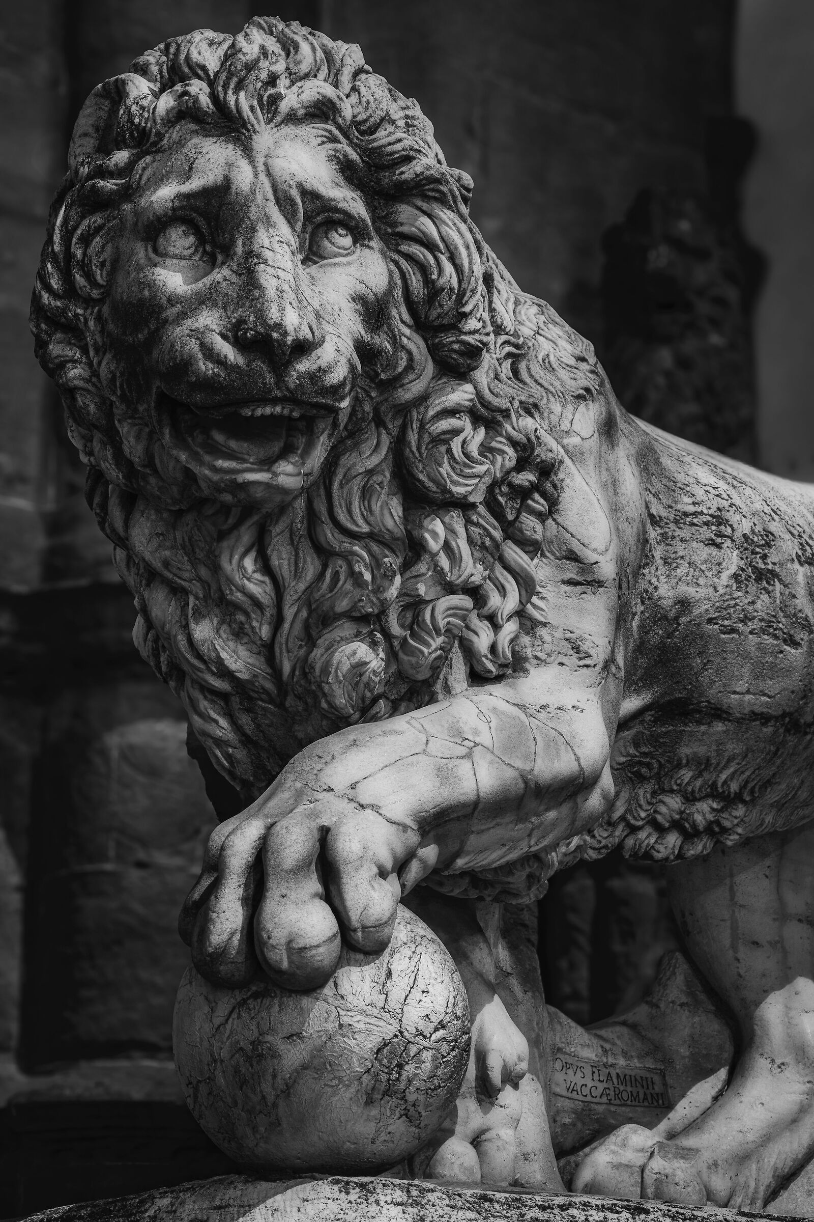 Il leone di Piazza della Signoria