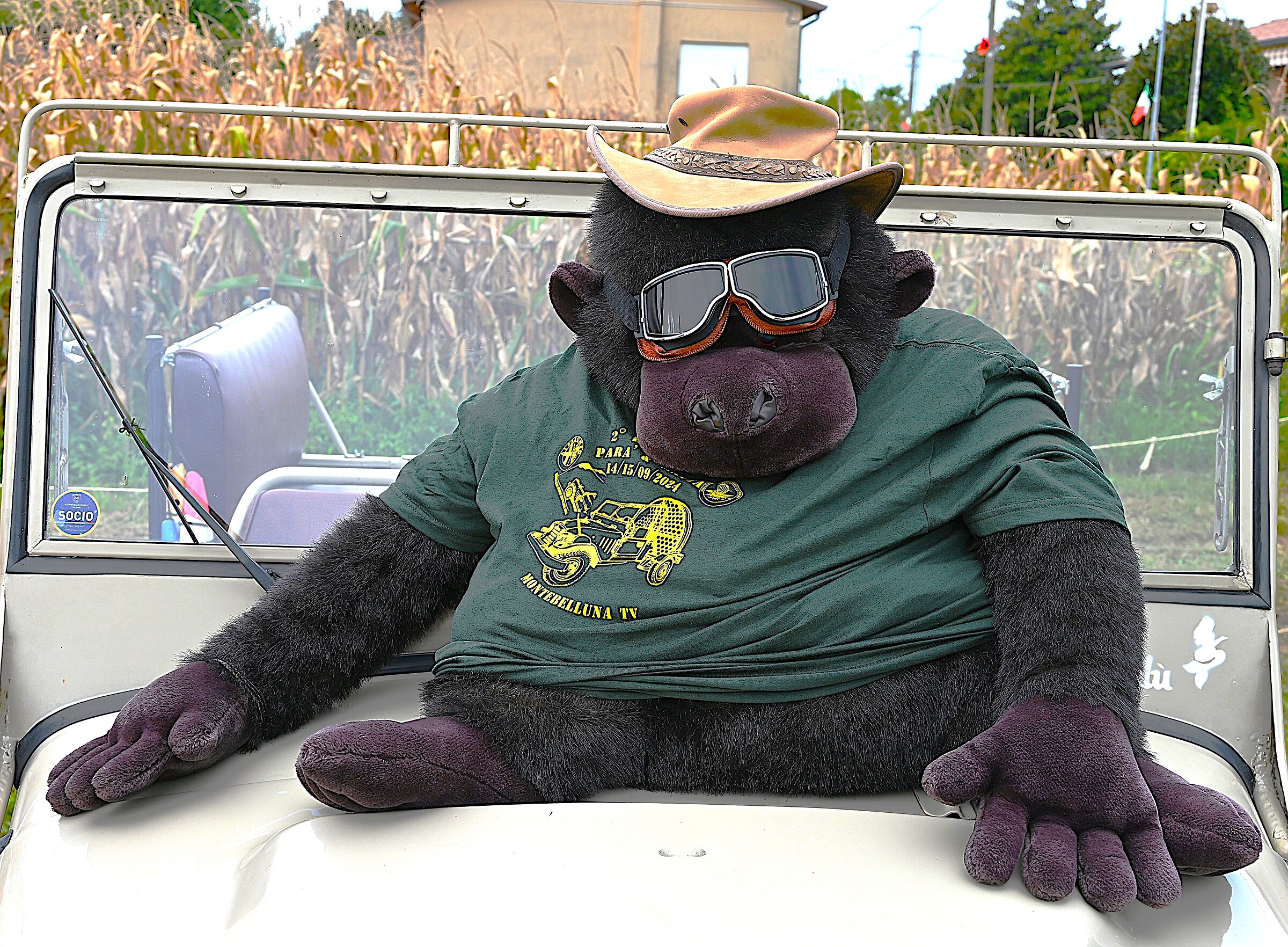 With the Parachute Rally T-shirt