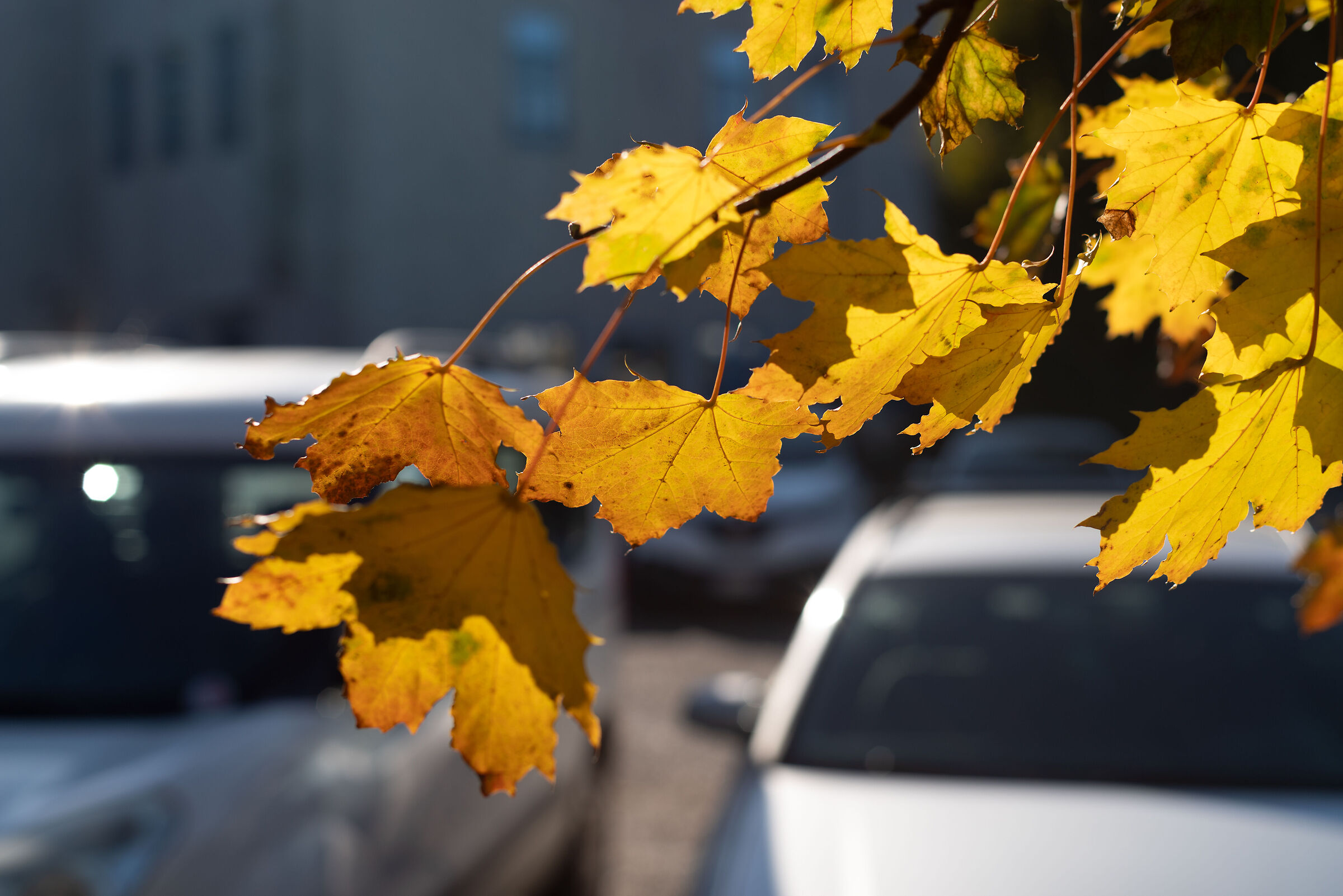 Il cemento non vincerà