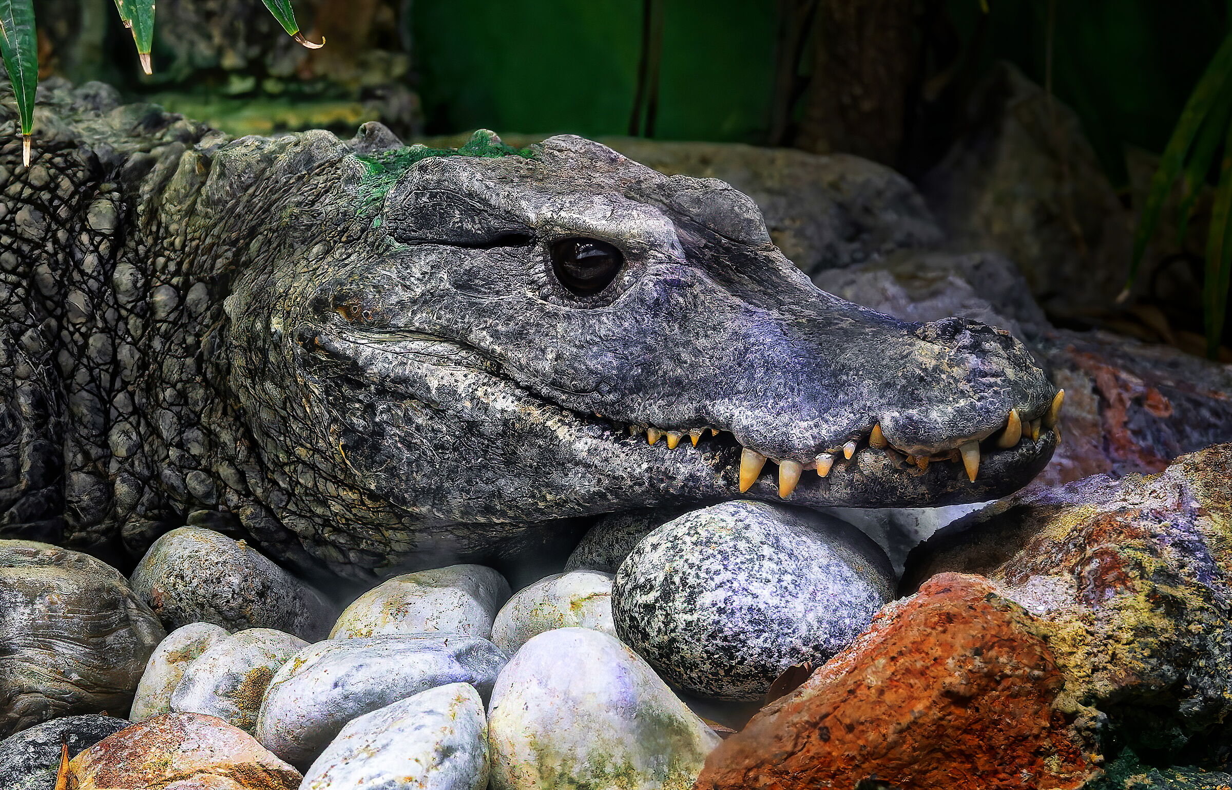 Mi stà venedo un certo Appetito