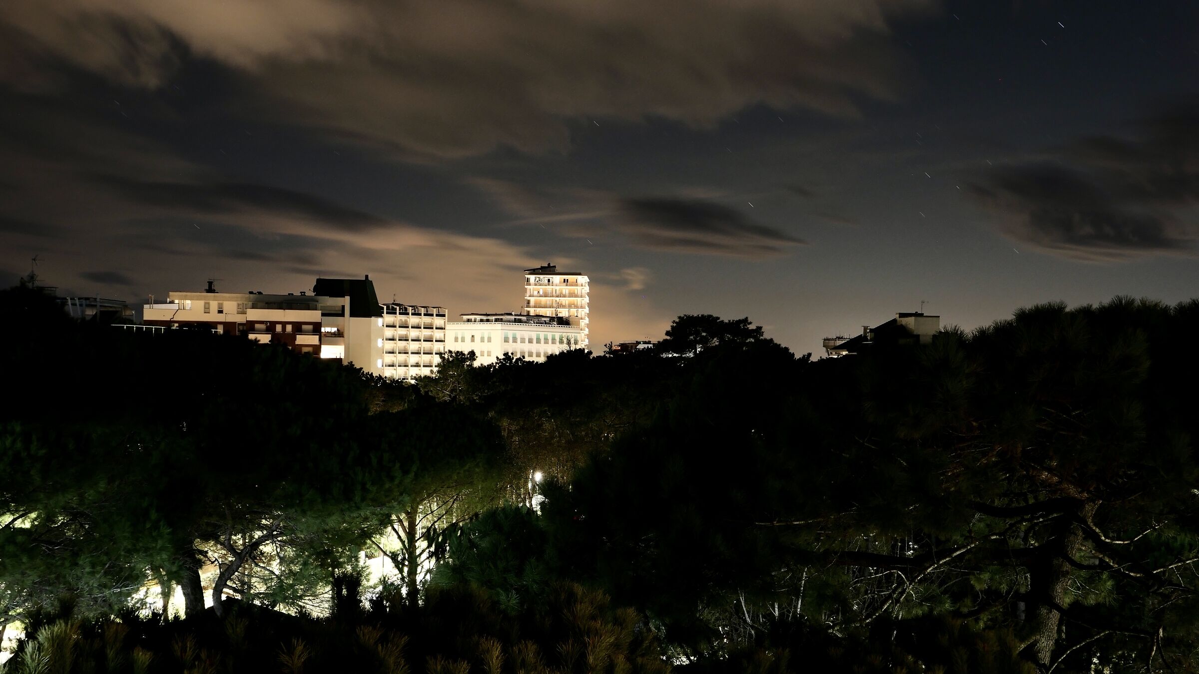 Pinewood by night