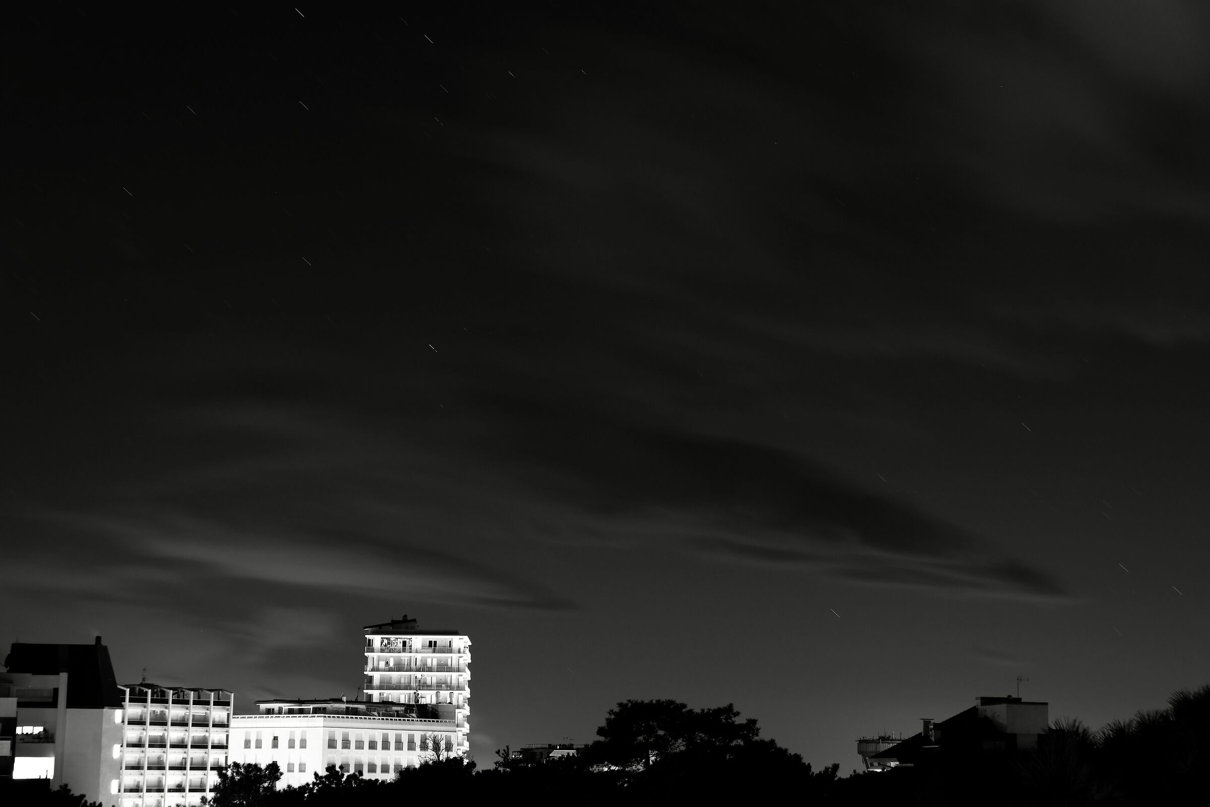 Pinewood by night