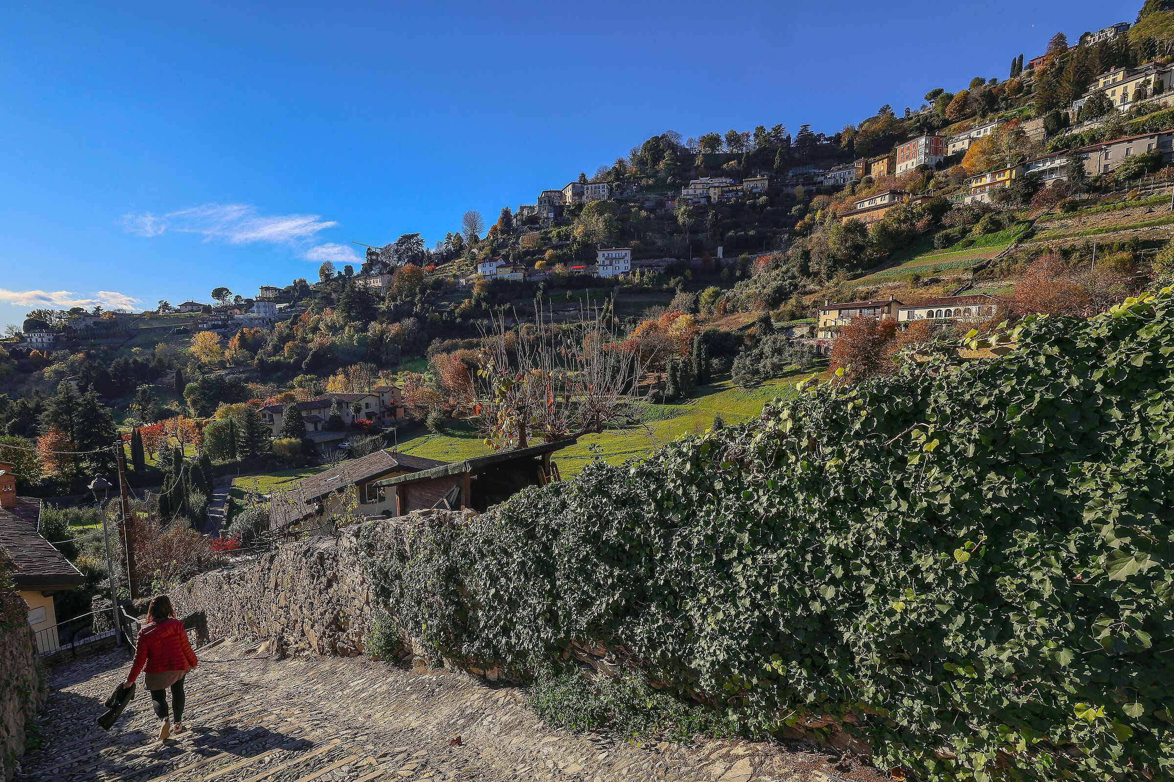 Bergamo alta, series
