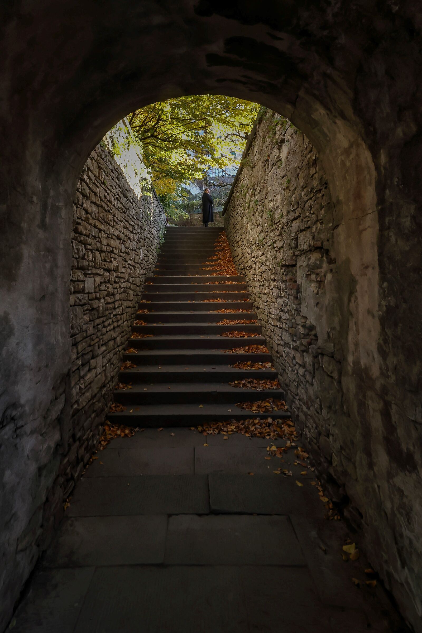 Bergamo alta, series