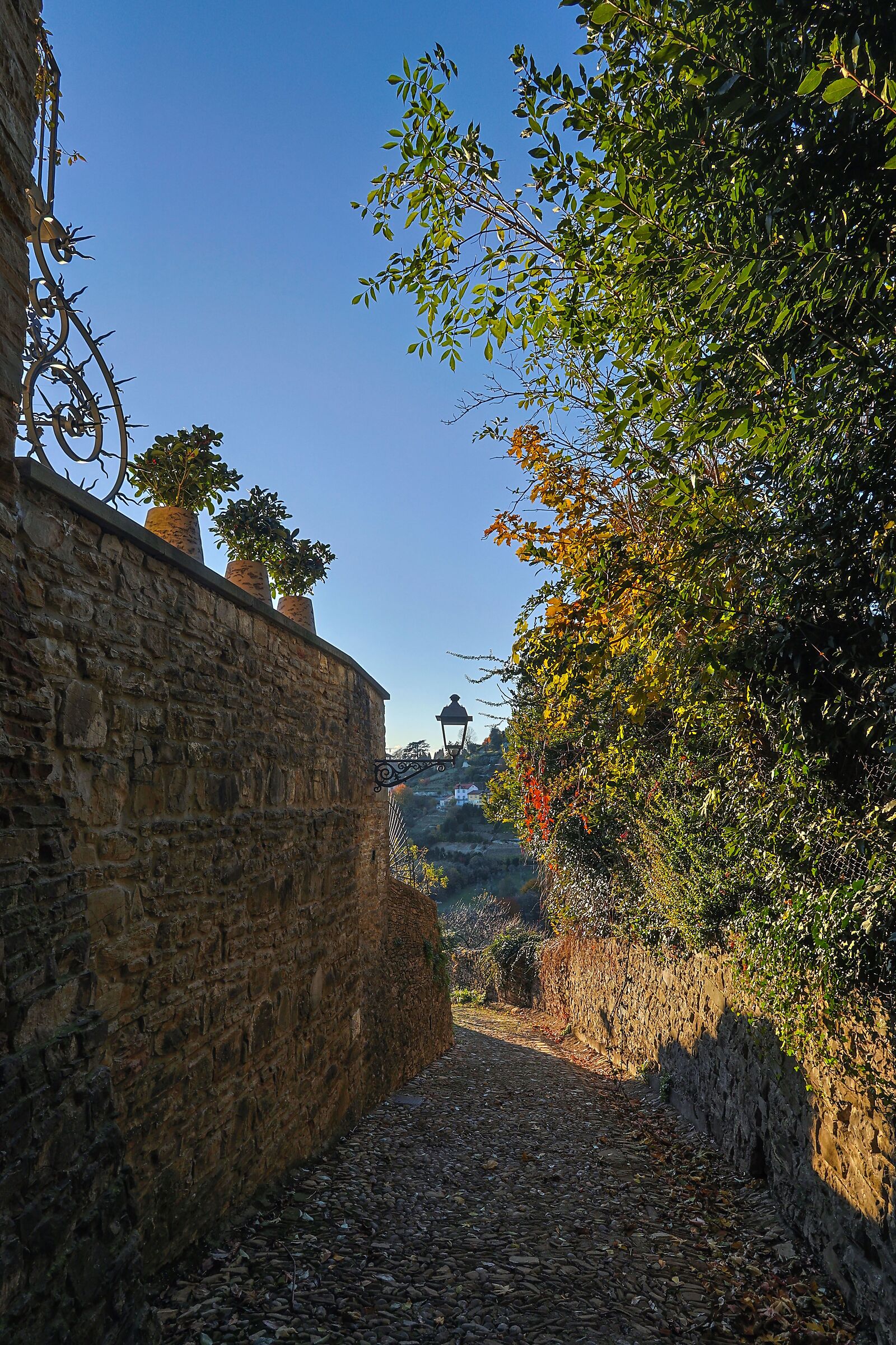 Bergamo alta, series