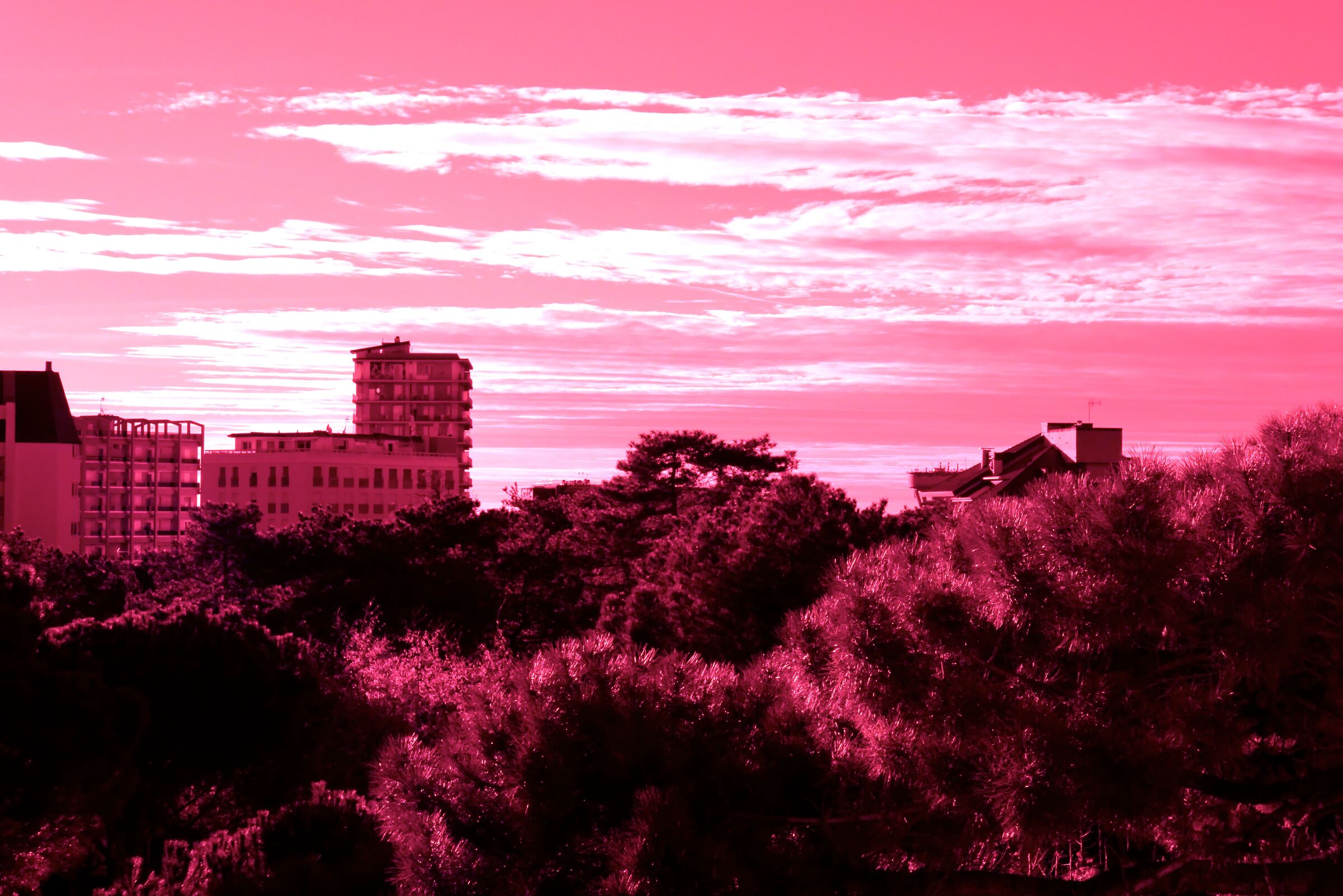 LIGNANO