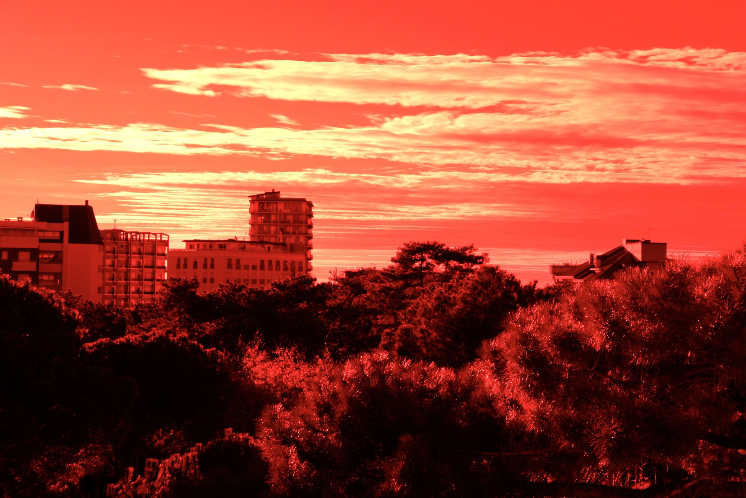 LIGNANO red