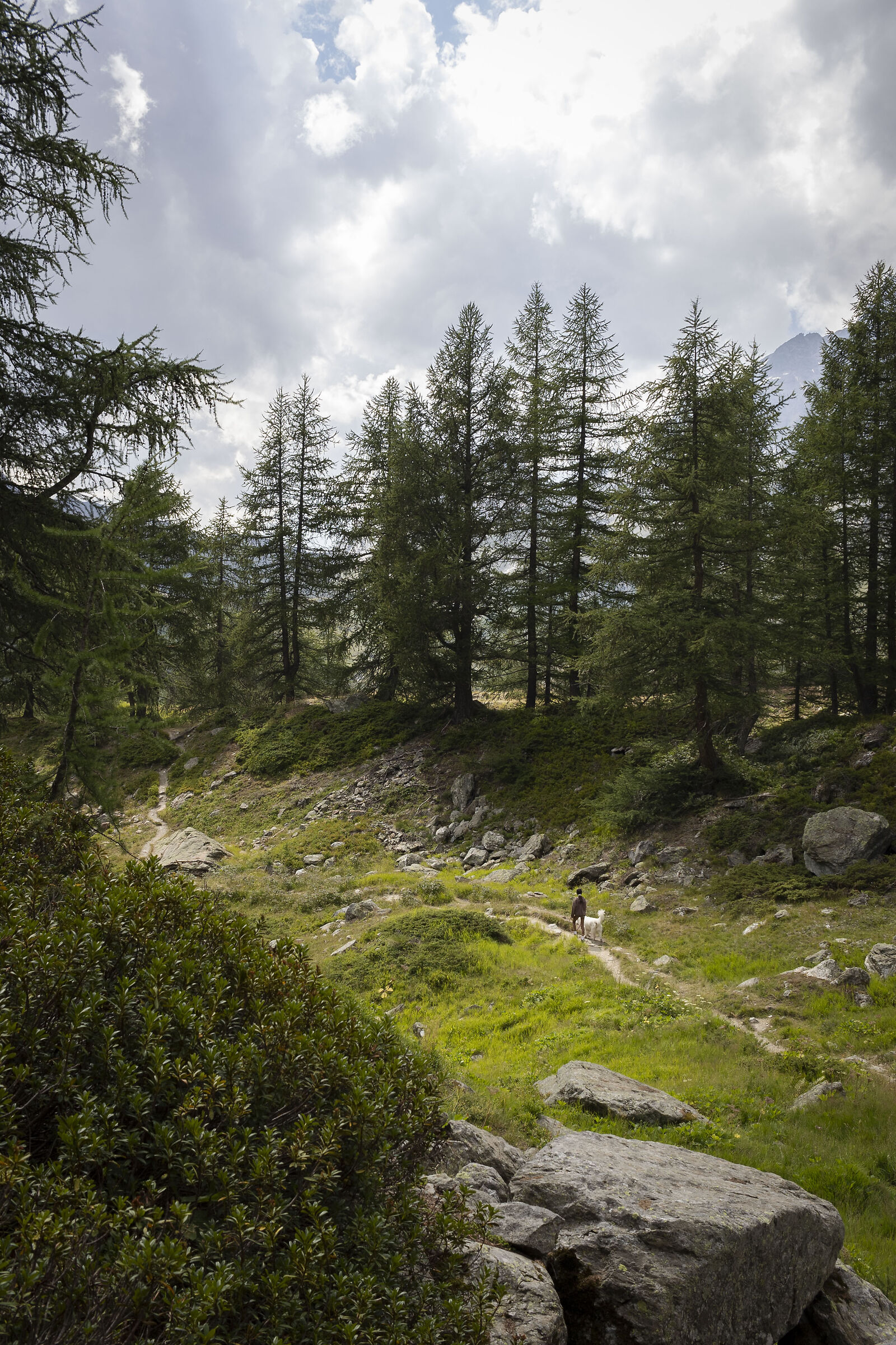 Valle d'Aosta- Val Veny
