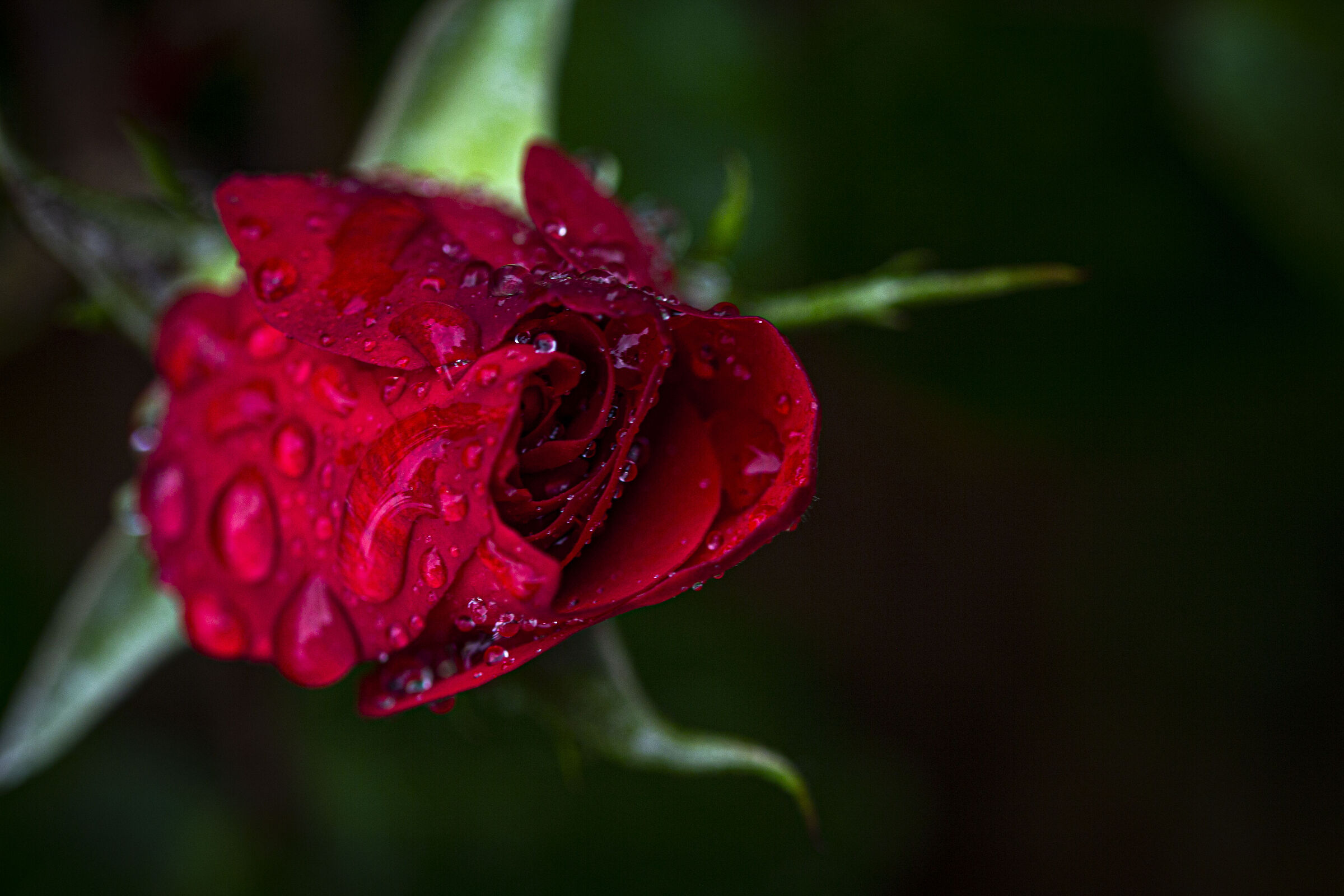 Raindrops