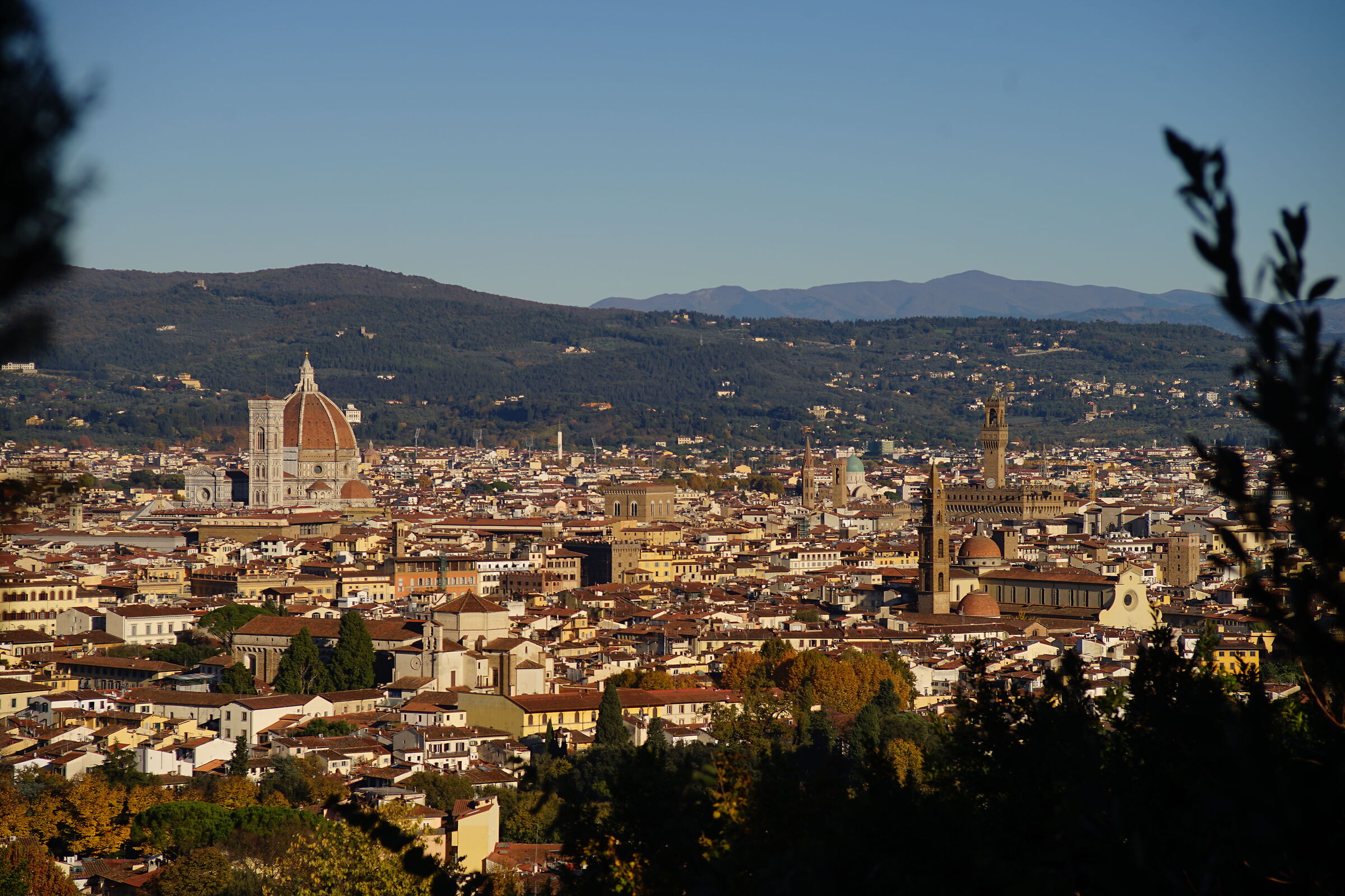 Panorama from Bellosguardo