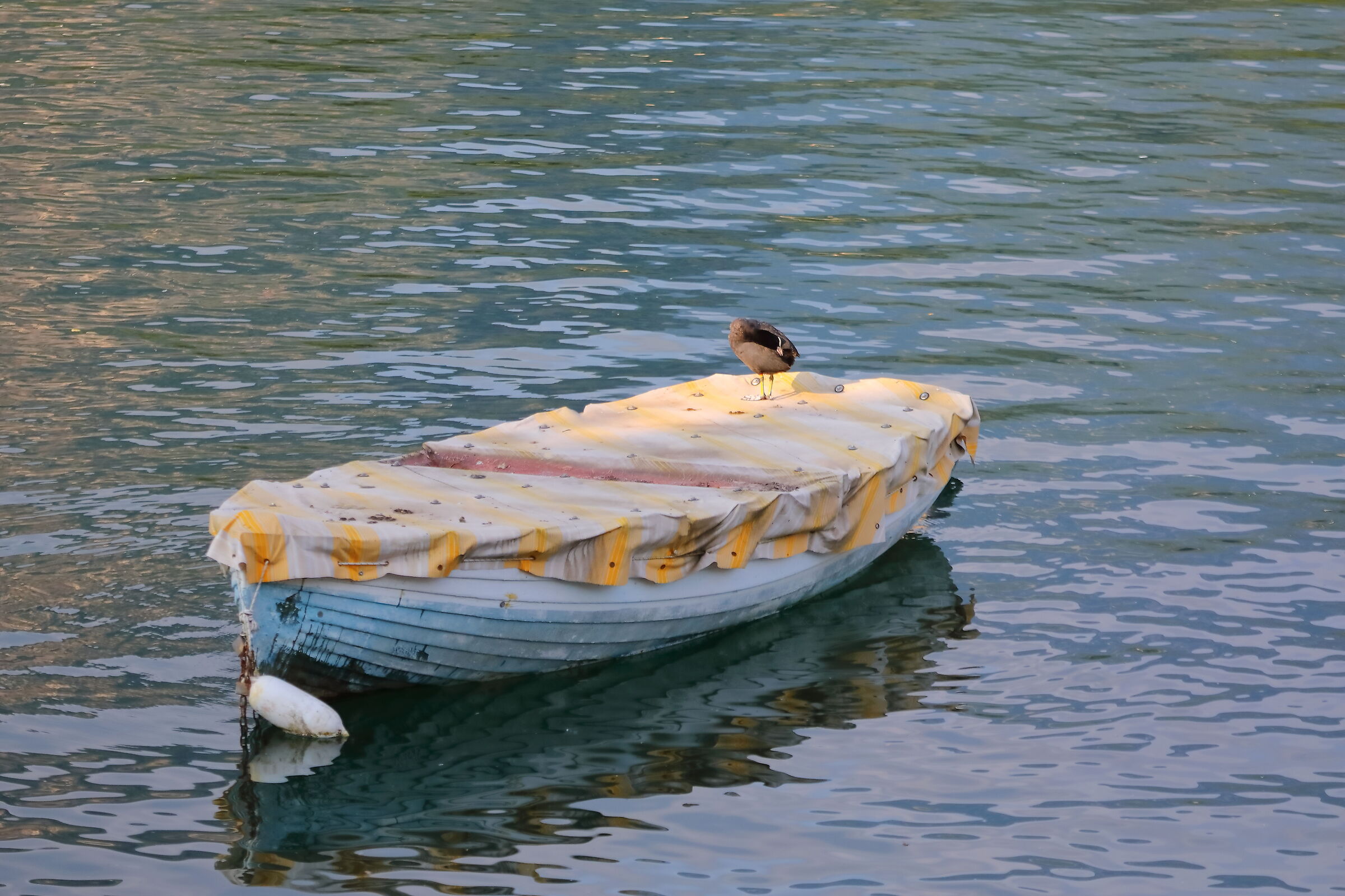 Barca 04 luglio 2024 - 0121