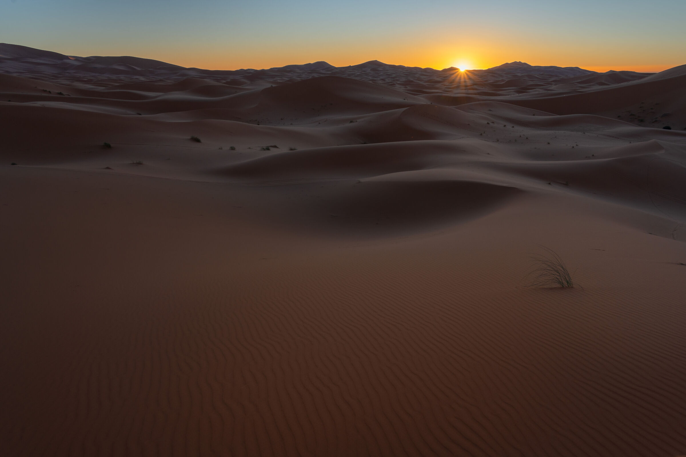 Sahara sunrise