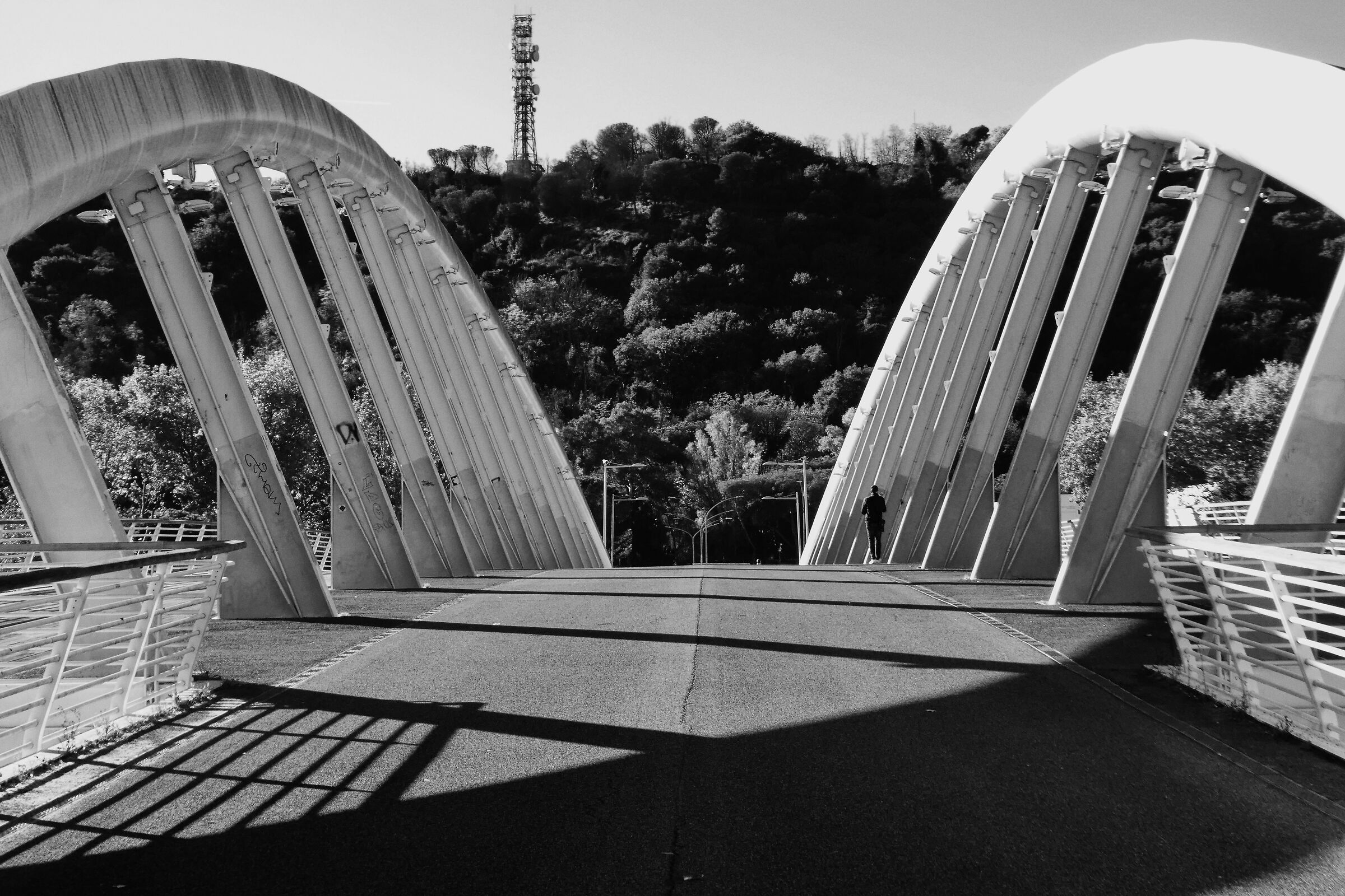 Ponte della Musica - Roma