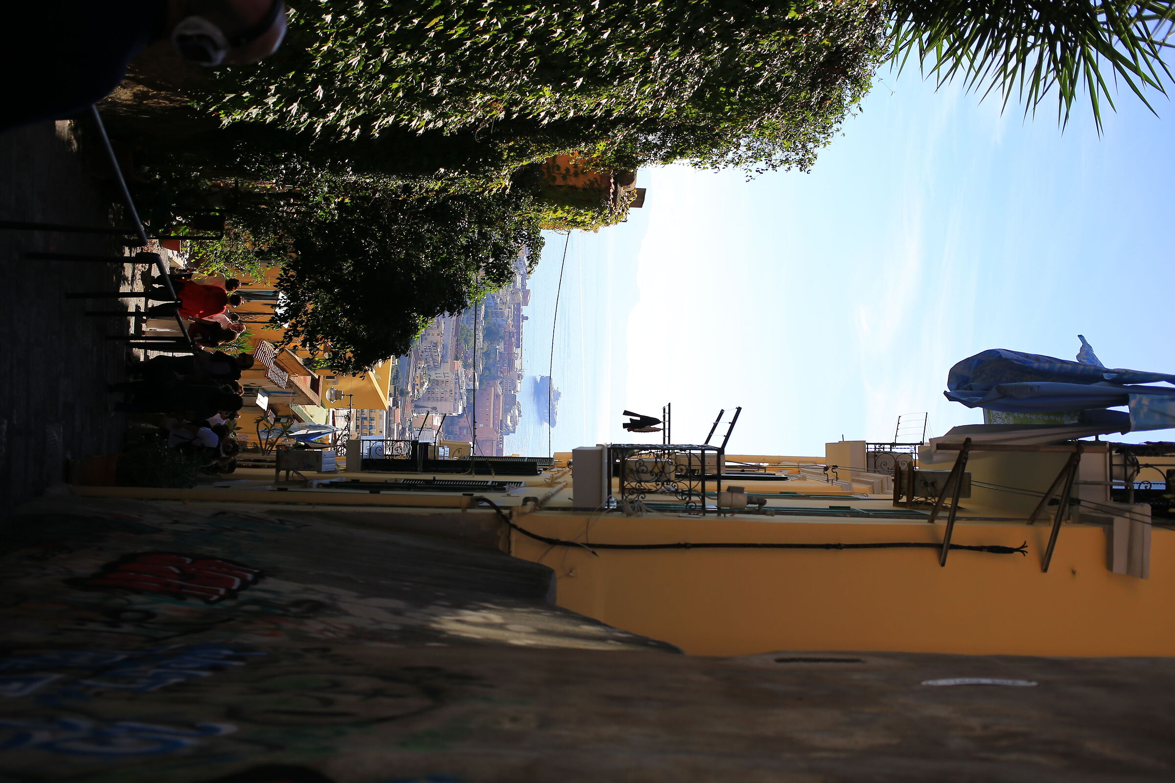 Panorama from Petraio