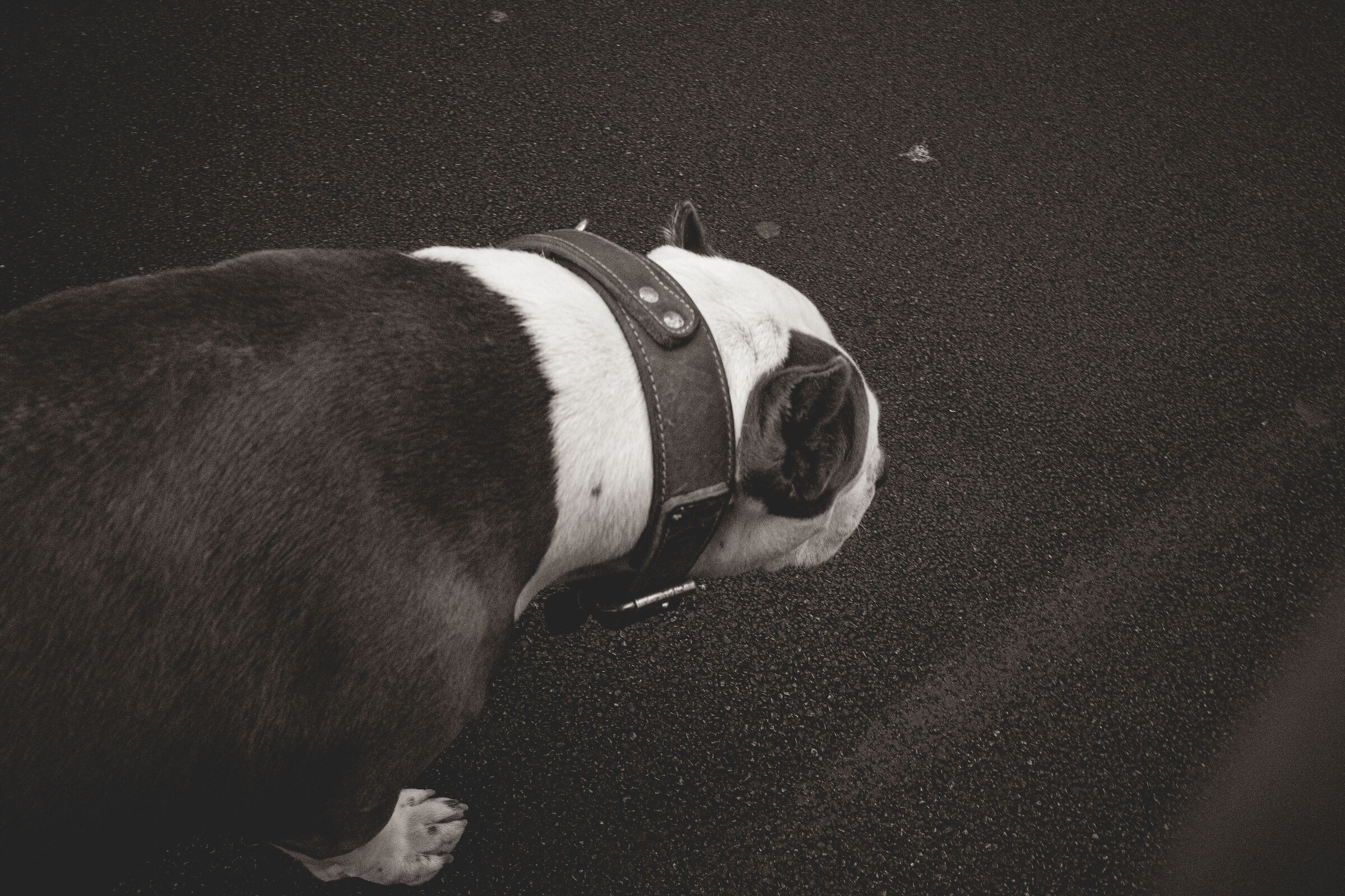 Untitled Photo