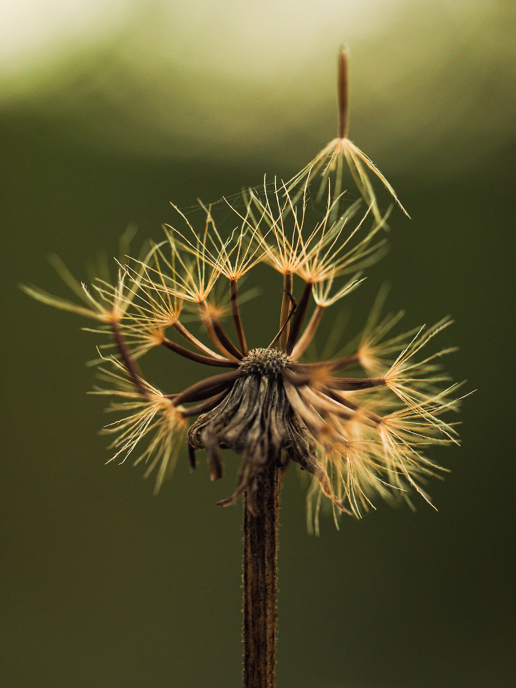 "IN attesa DI UN SOFFIO"