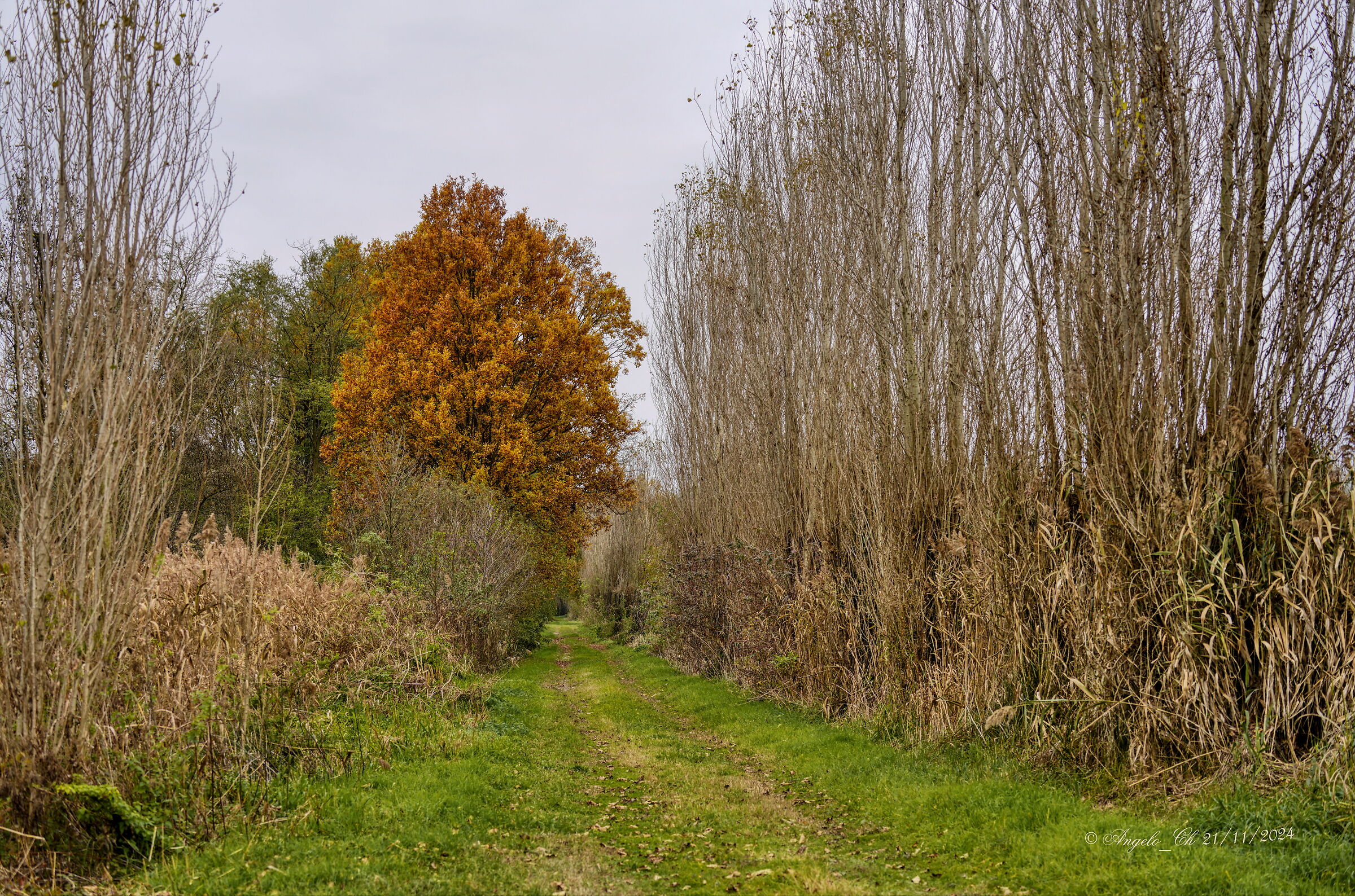 Towards the oasis