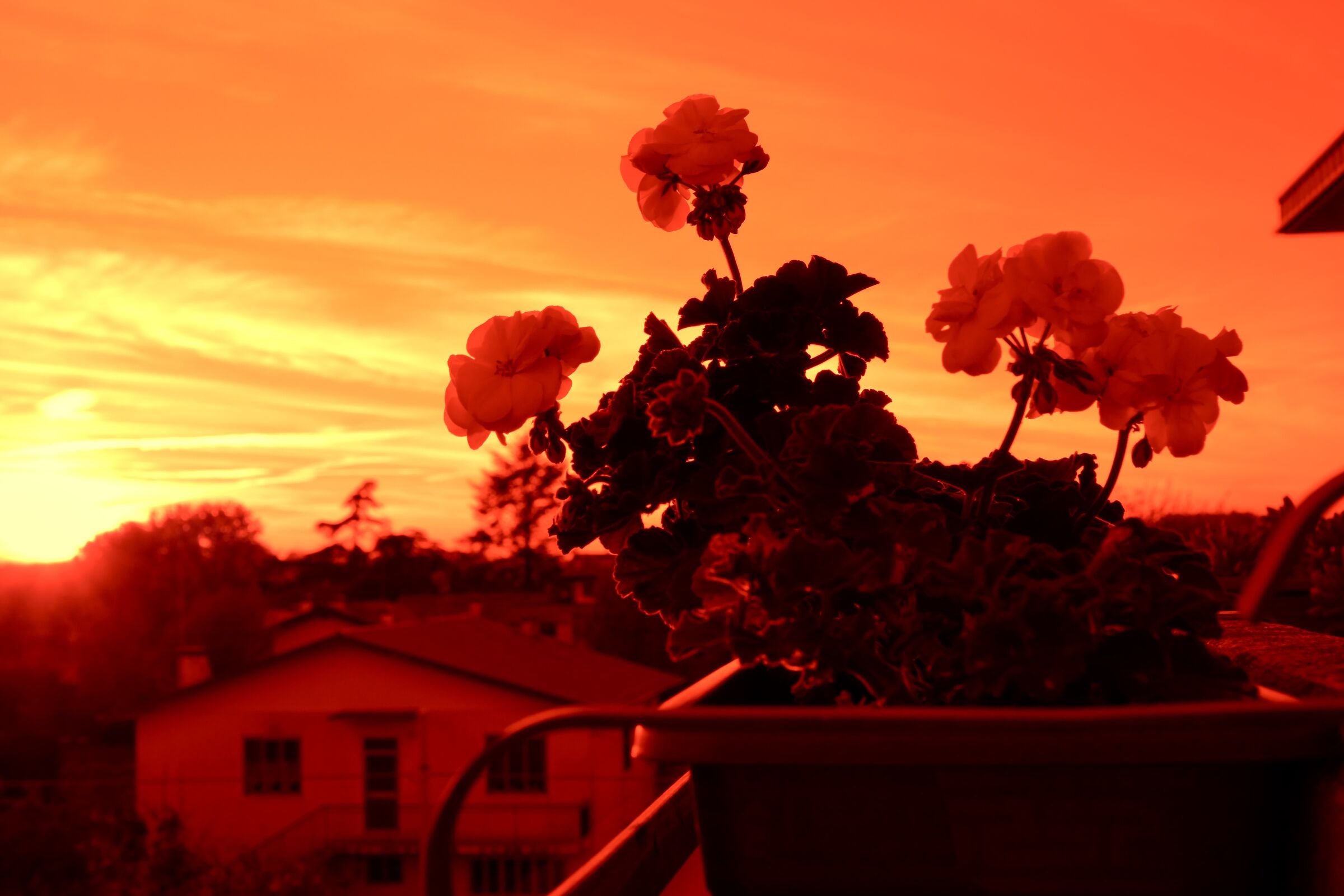 orange sunset balcony