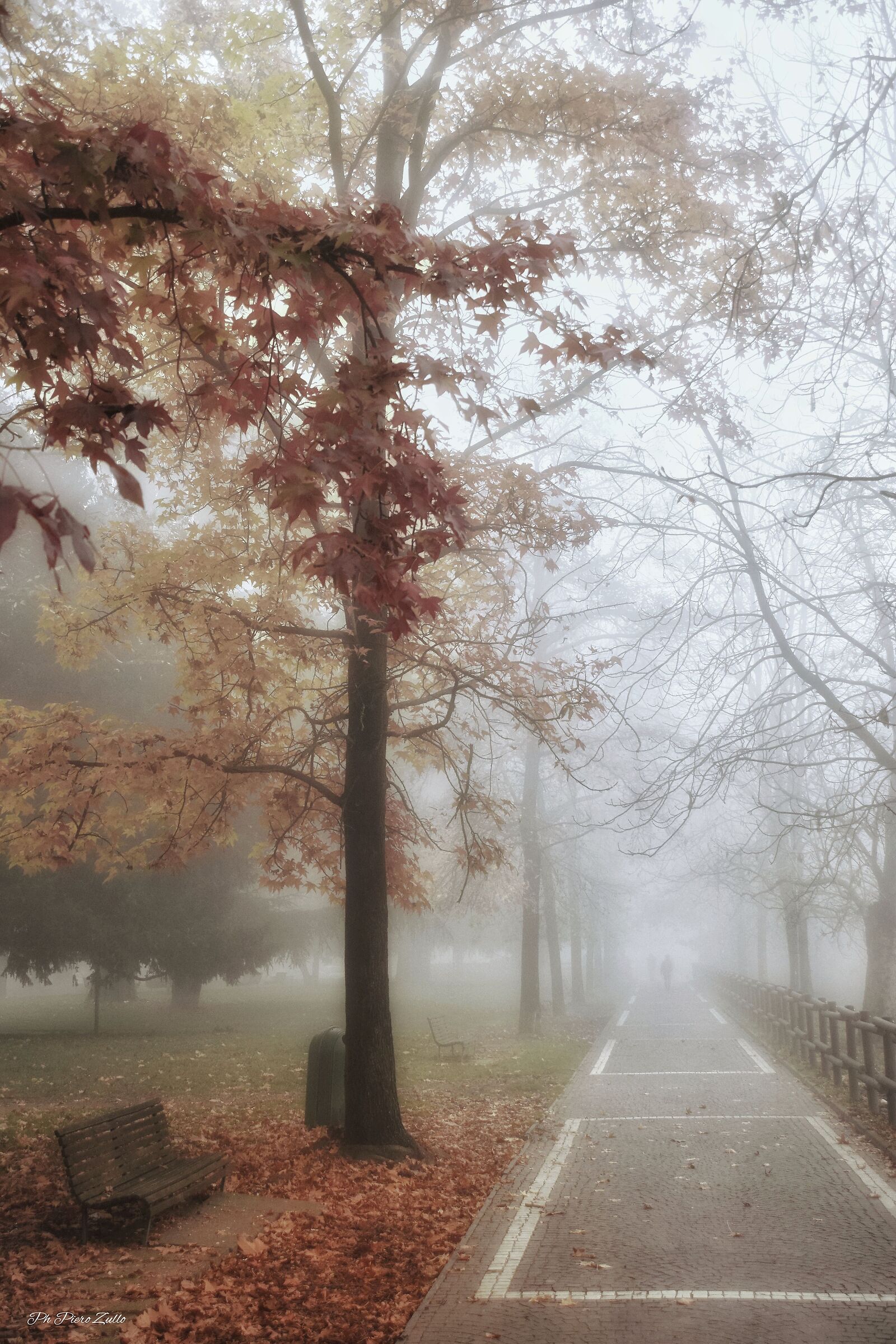 Autumn fog