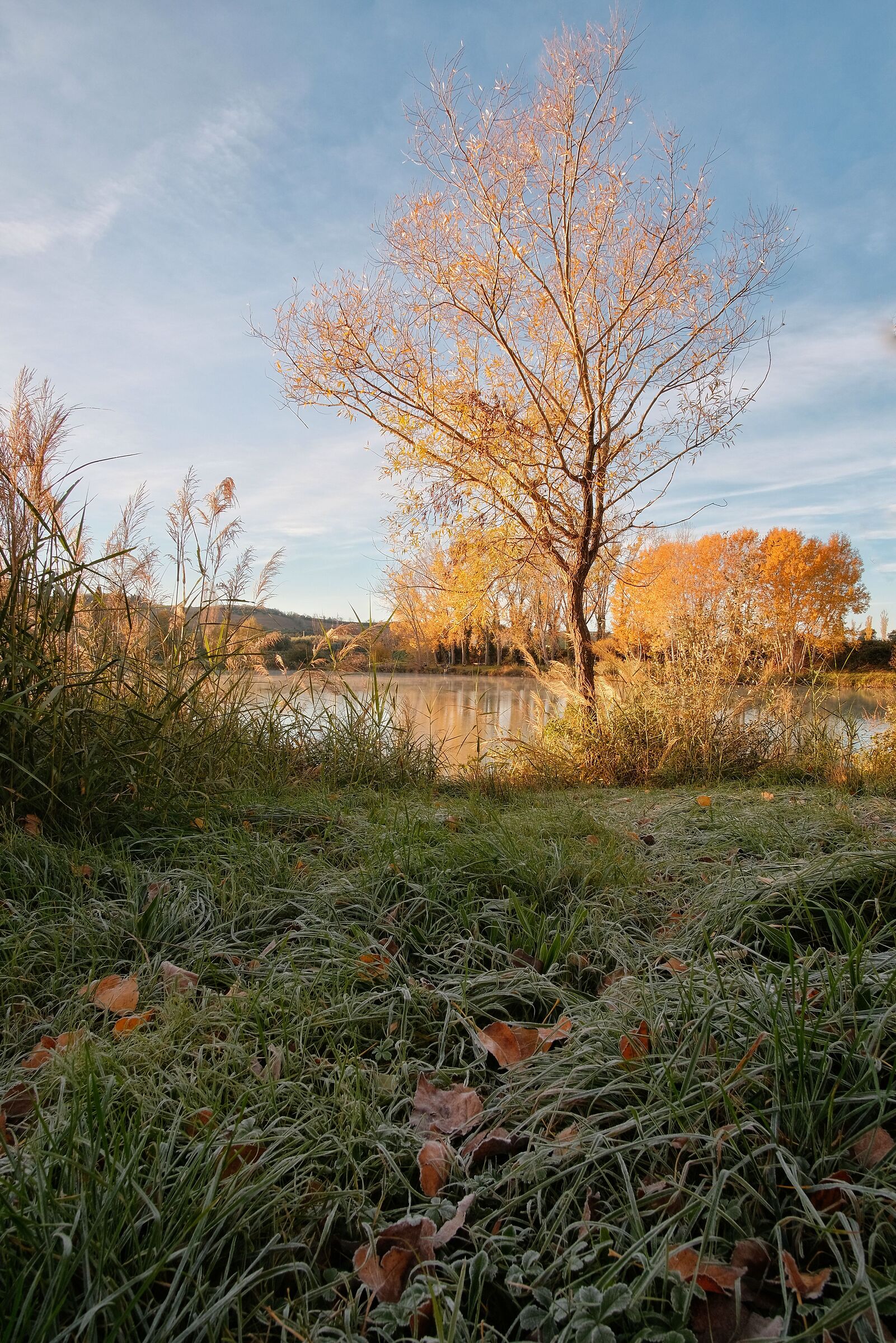 contrasti di fine autunno