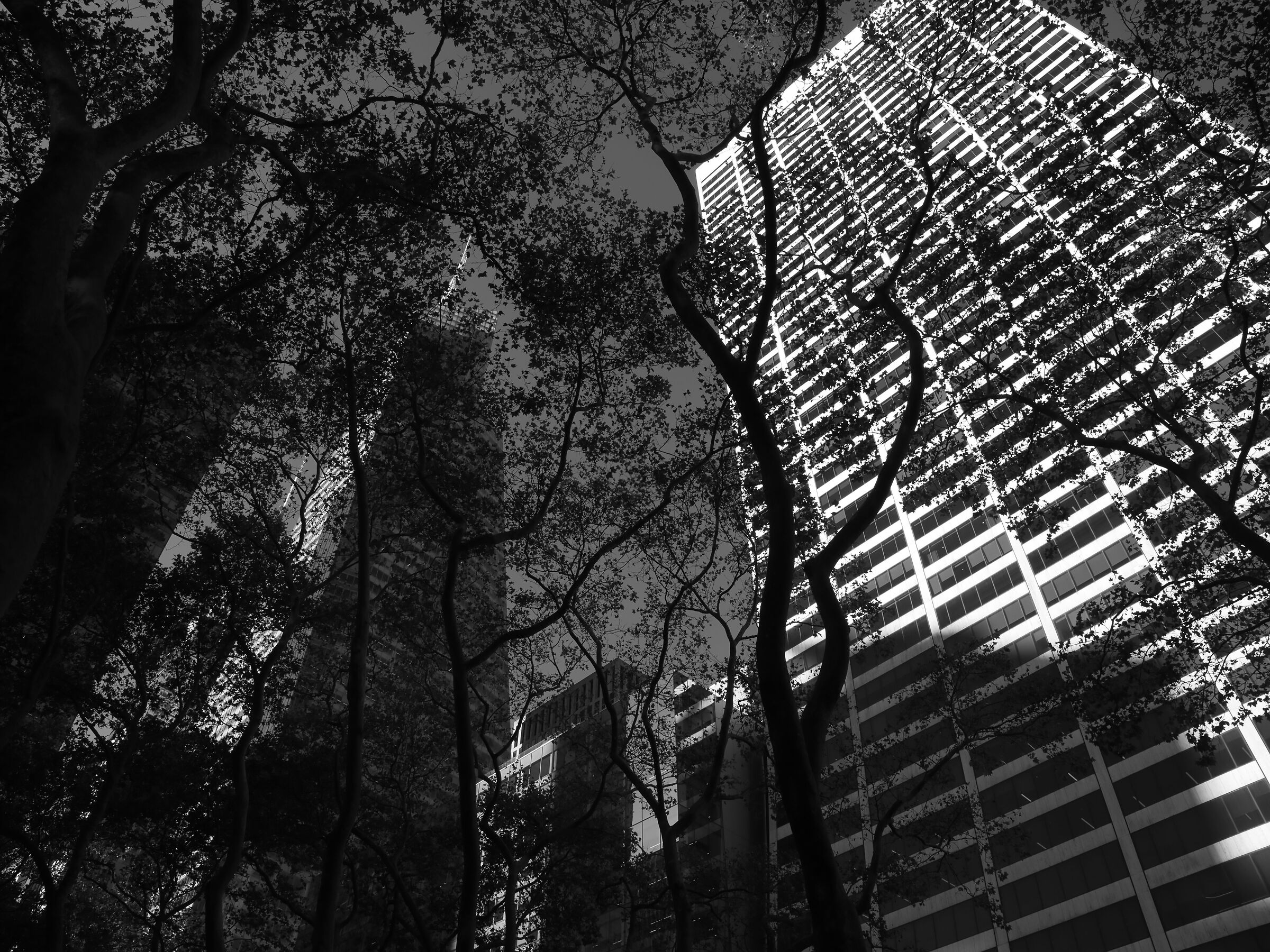 Bryant Park, New York