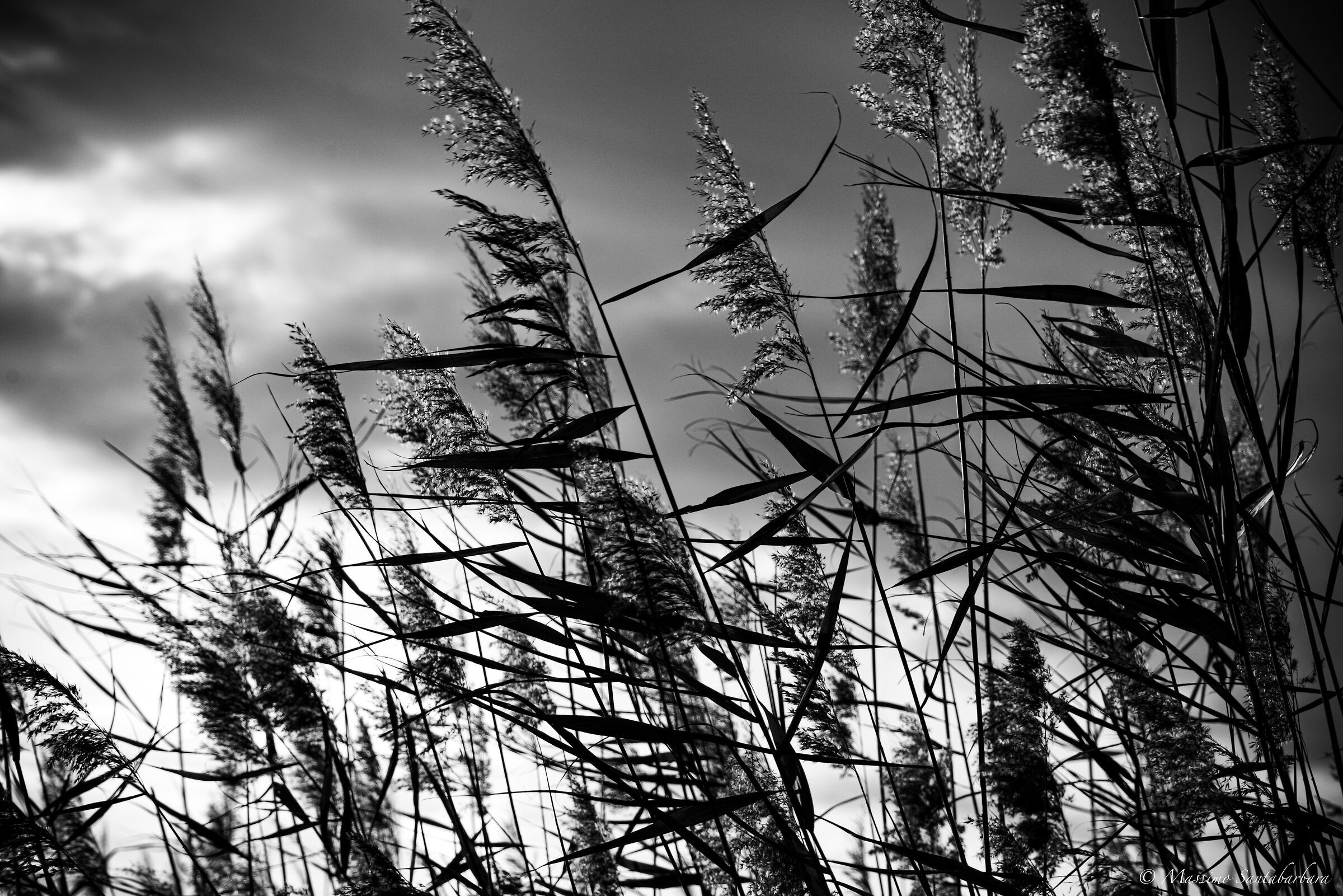 Wind on the lake
