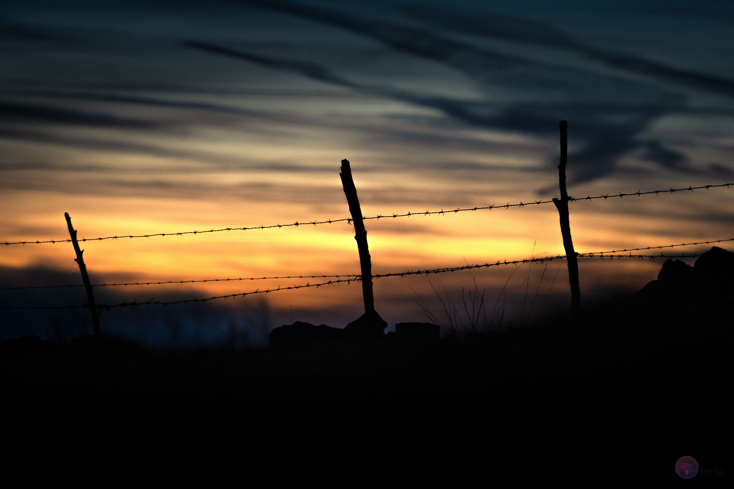 "... and it is immediately evening."