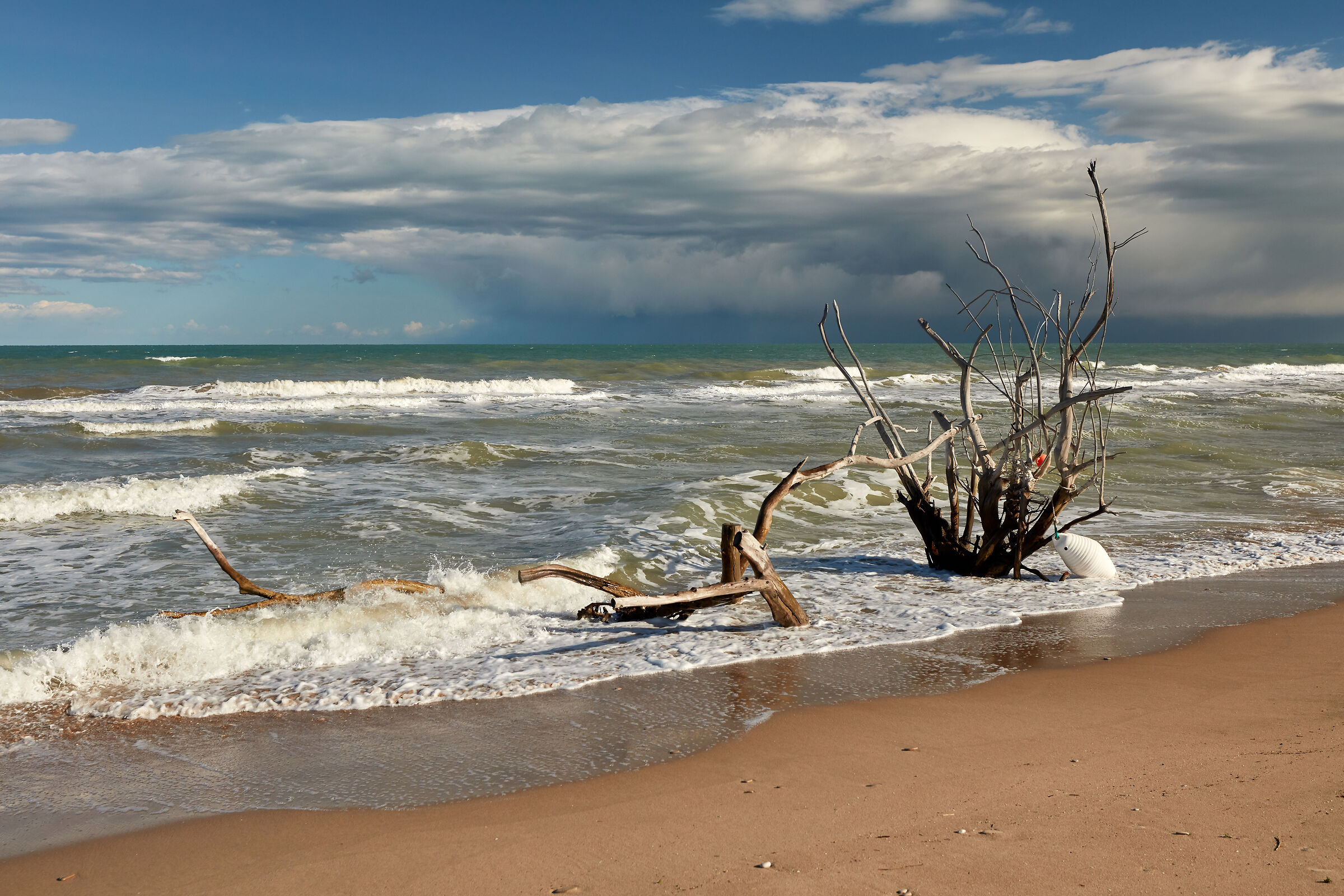 Mare mosso sulla costa Adriatica