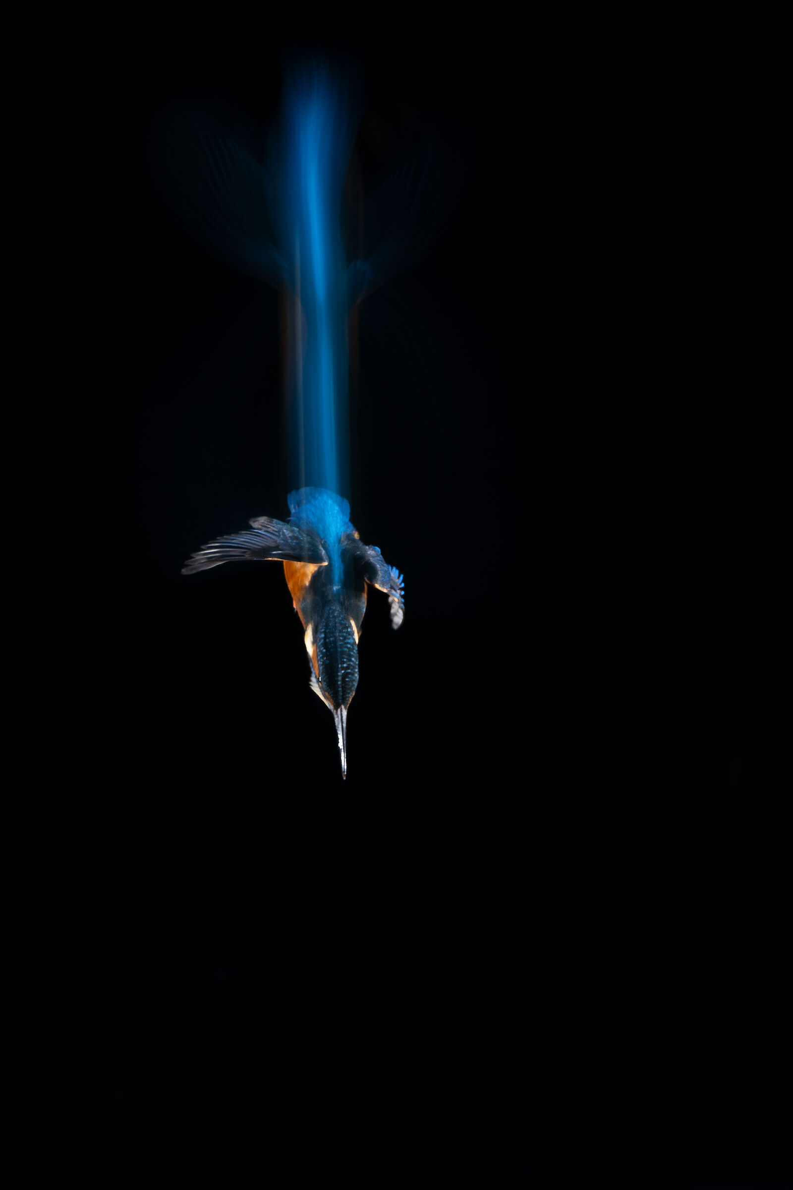 Diving in the dark