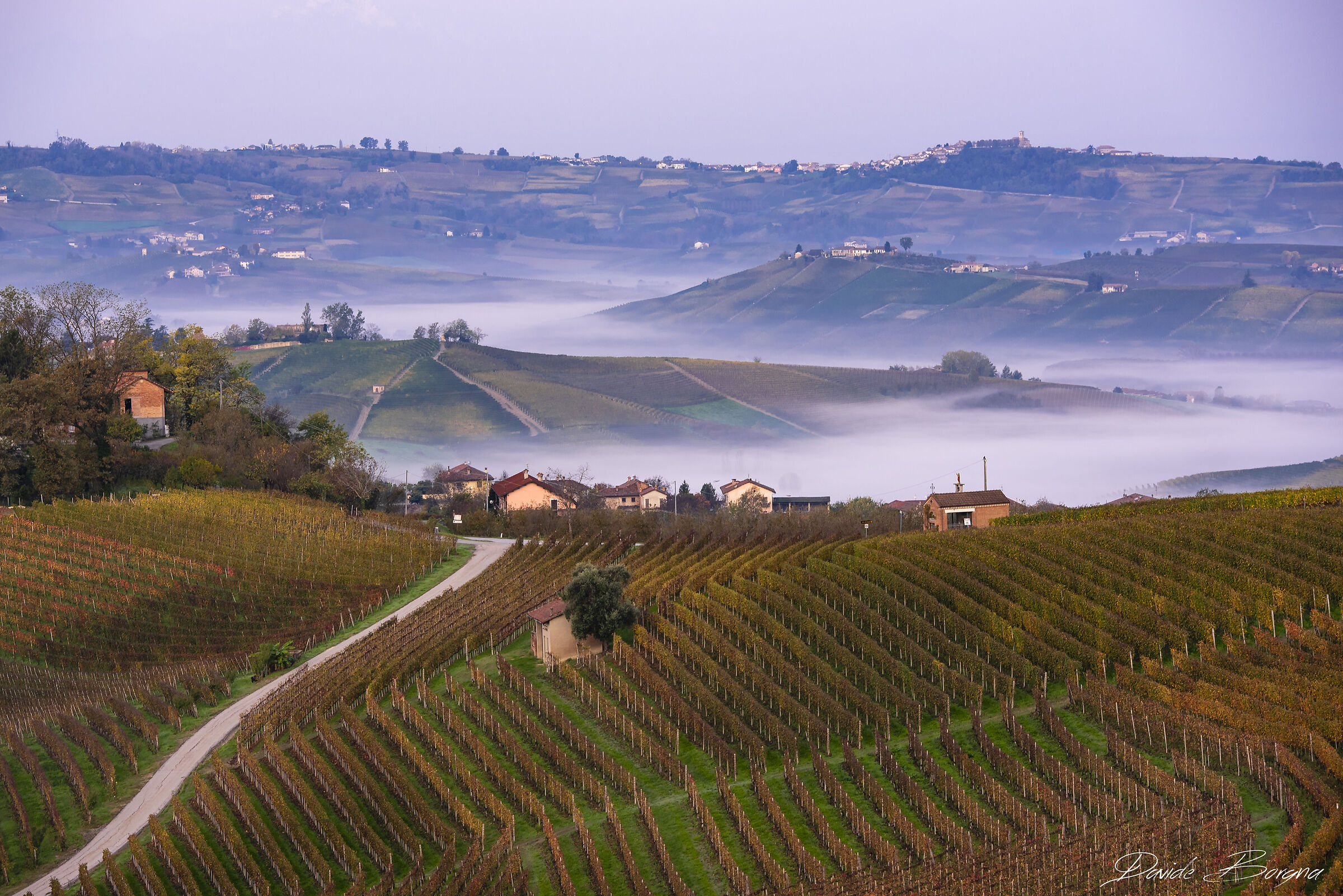 Nebbia autunnale in Langa.