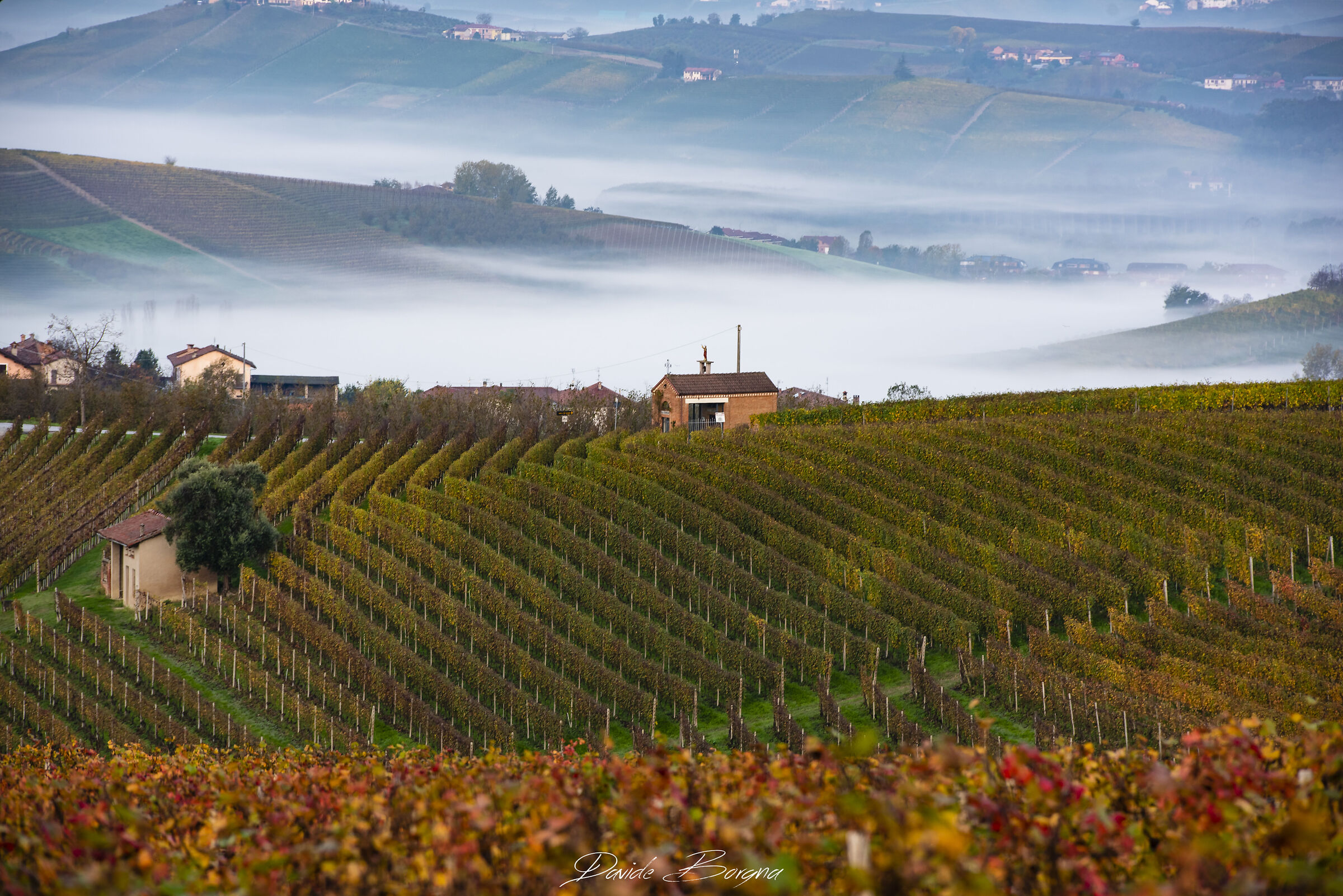 Mattina autunnale in Langa.