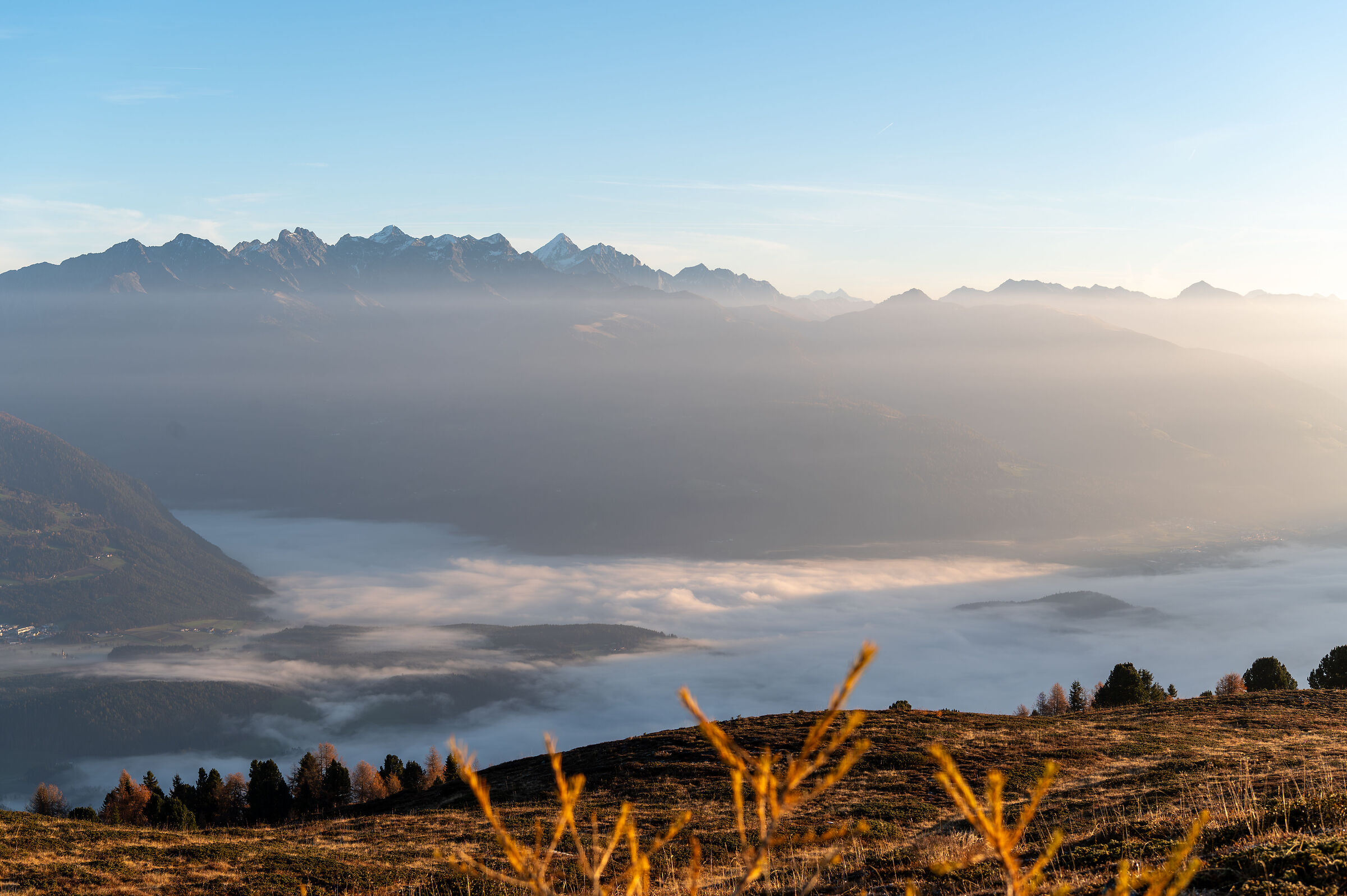 La nebbia nasconde il mattino.