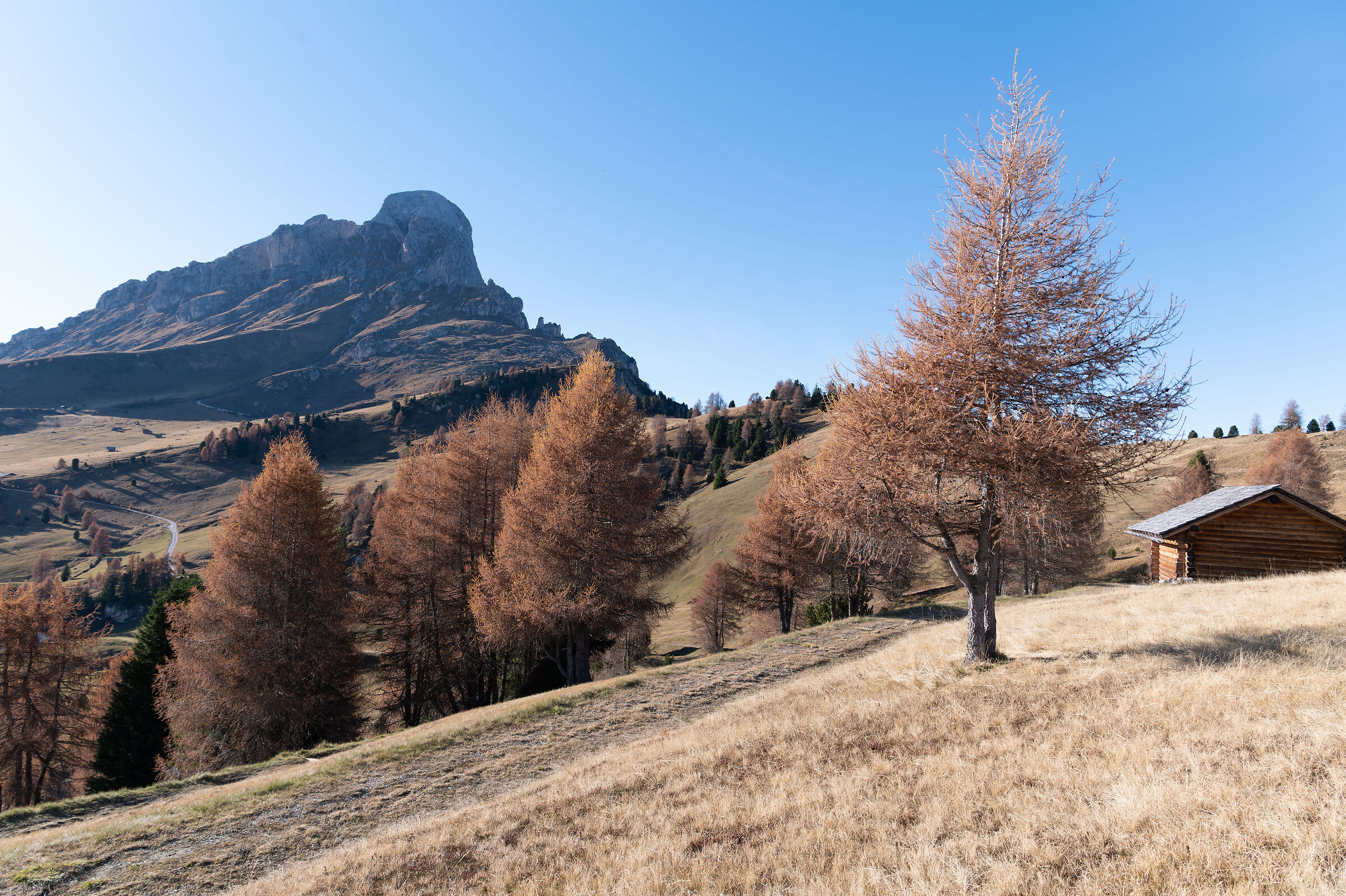 Agricoltura di montagna ai piedi del Putia.