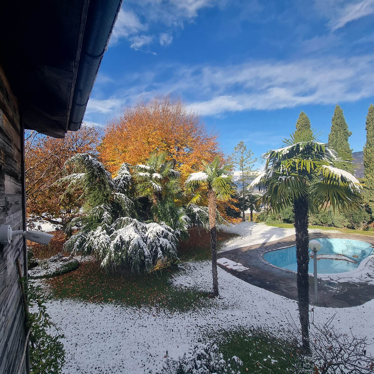 In giardino la prima neve 22 11 2024