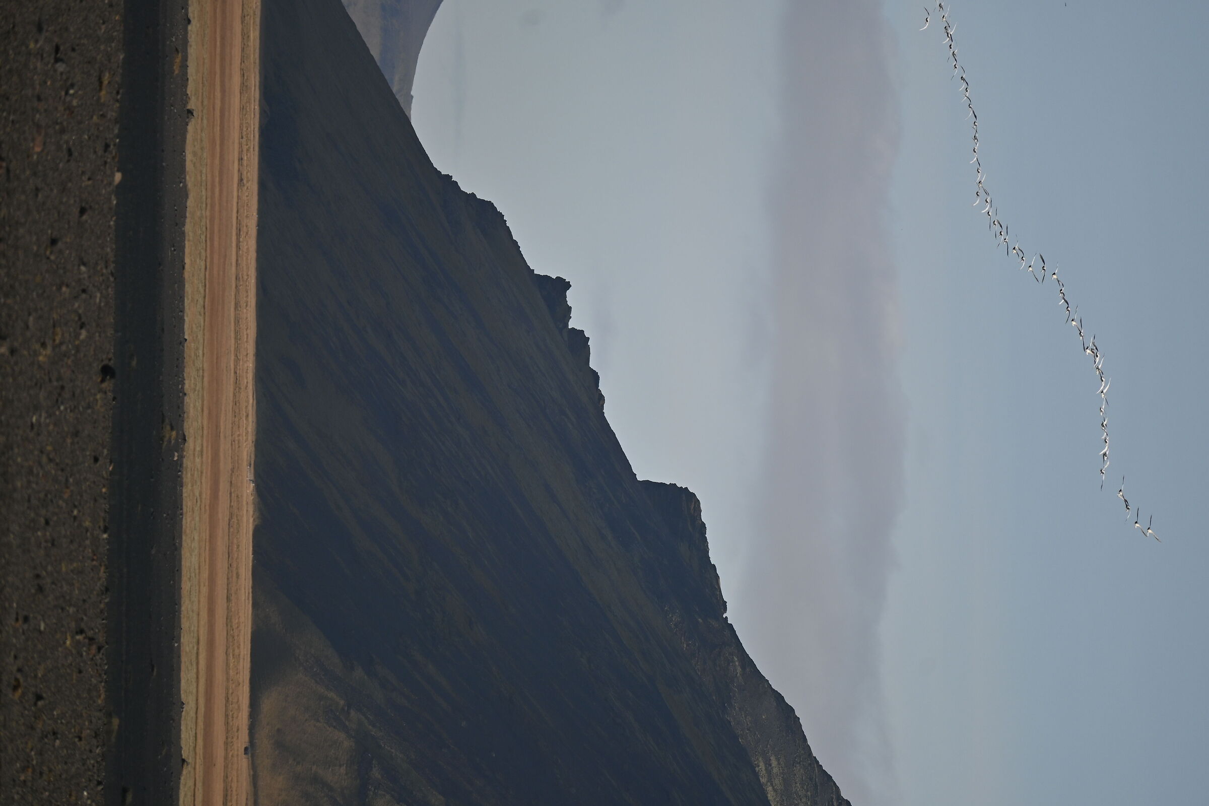 In flight