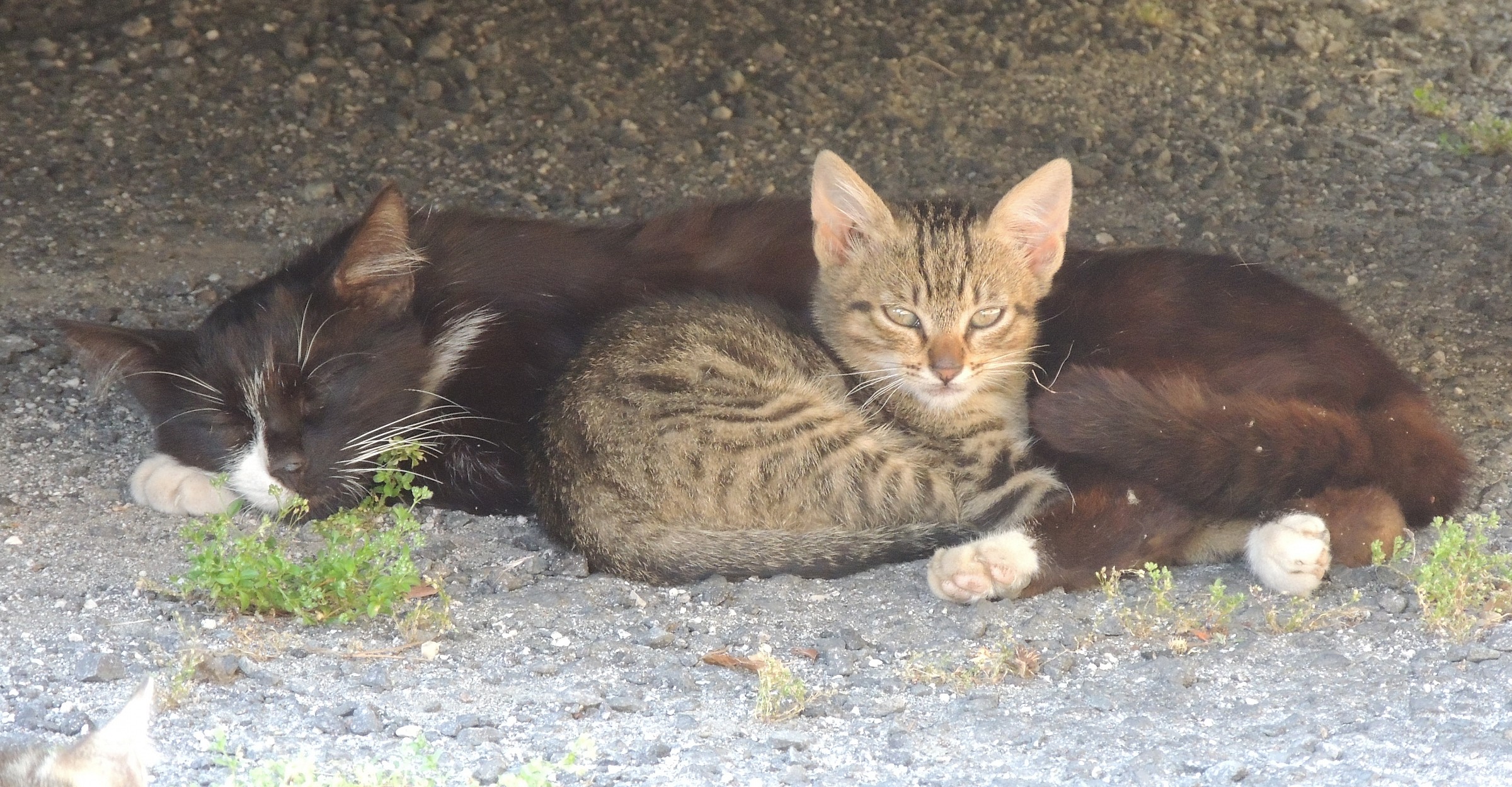 con la mia mamma....
