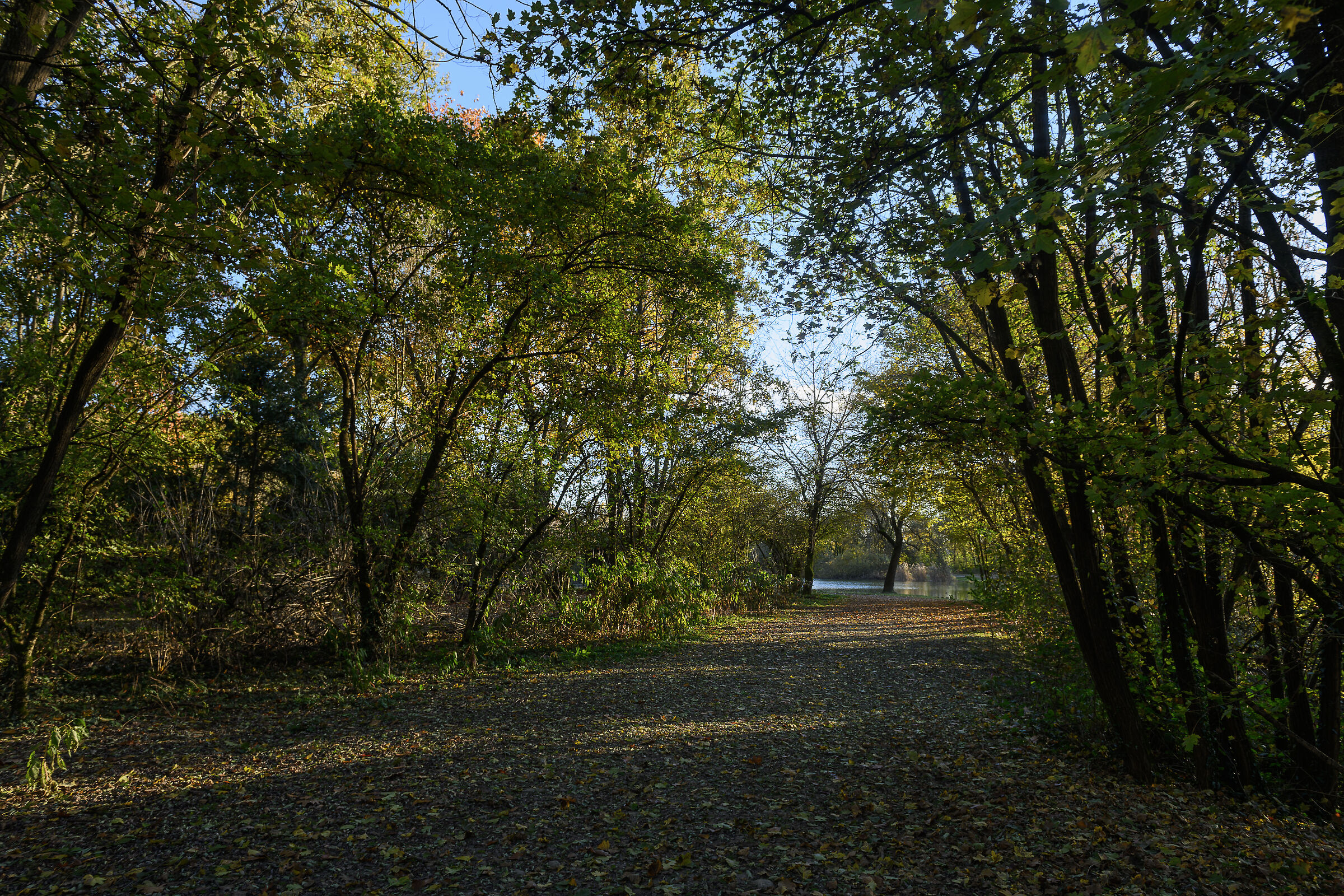 Semplicemente autunno