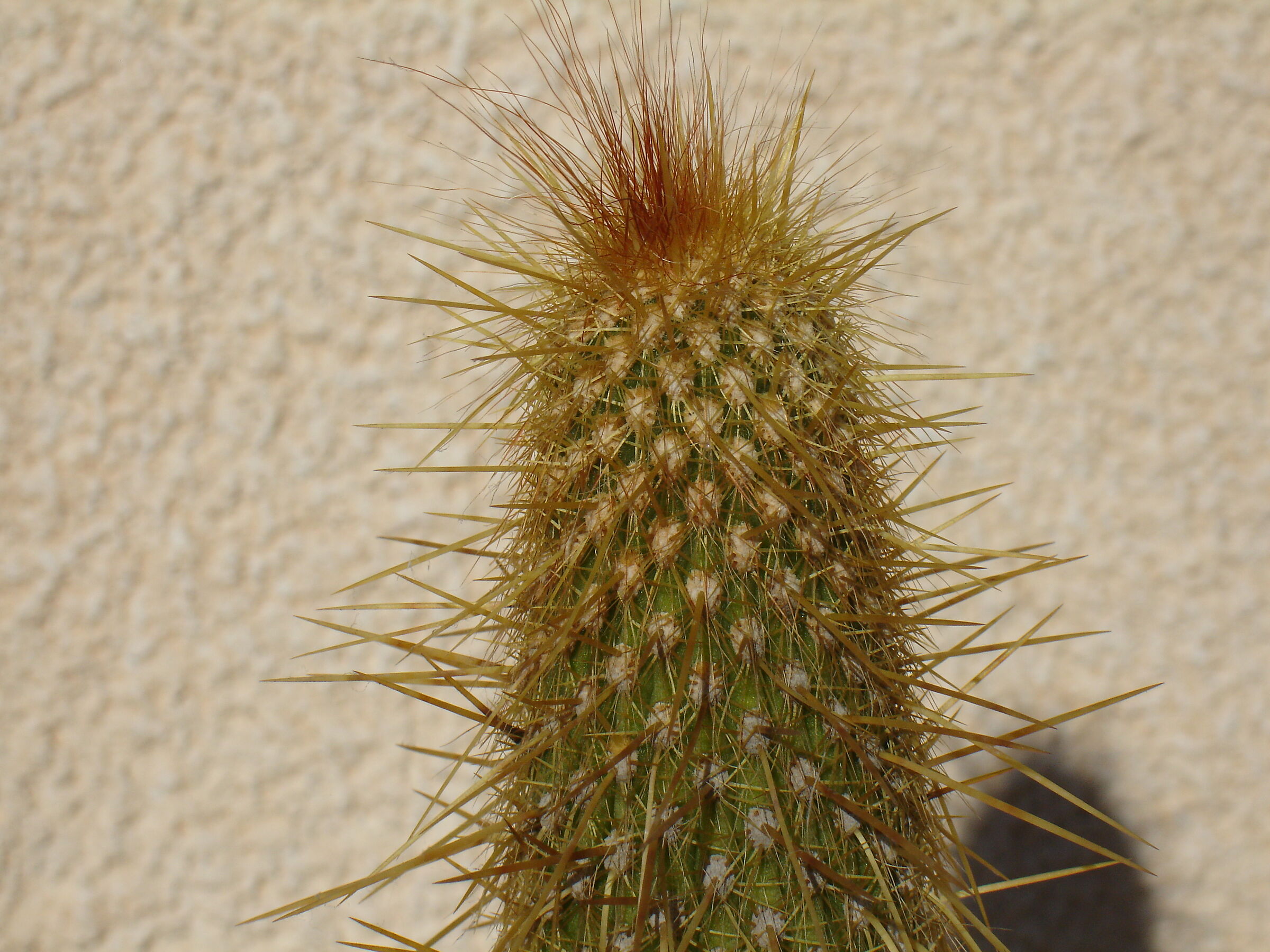 Look but don't touch