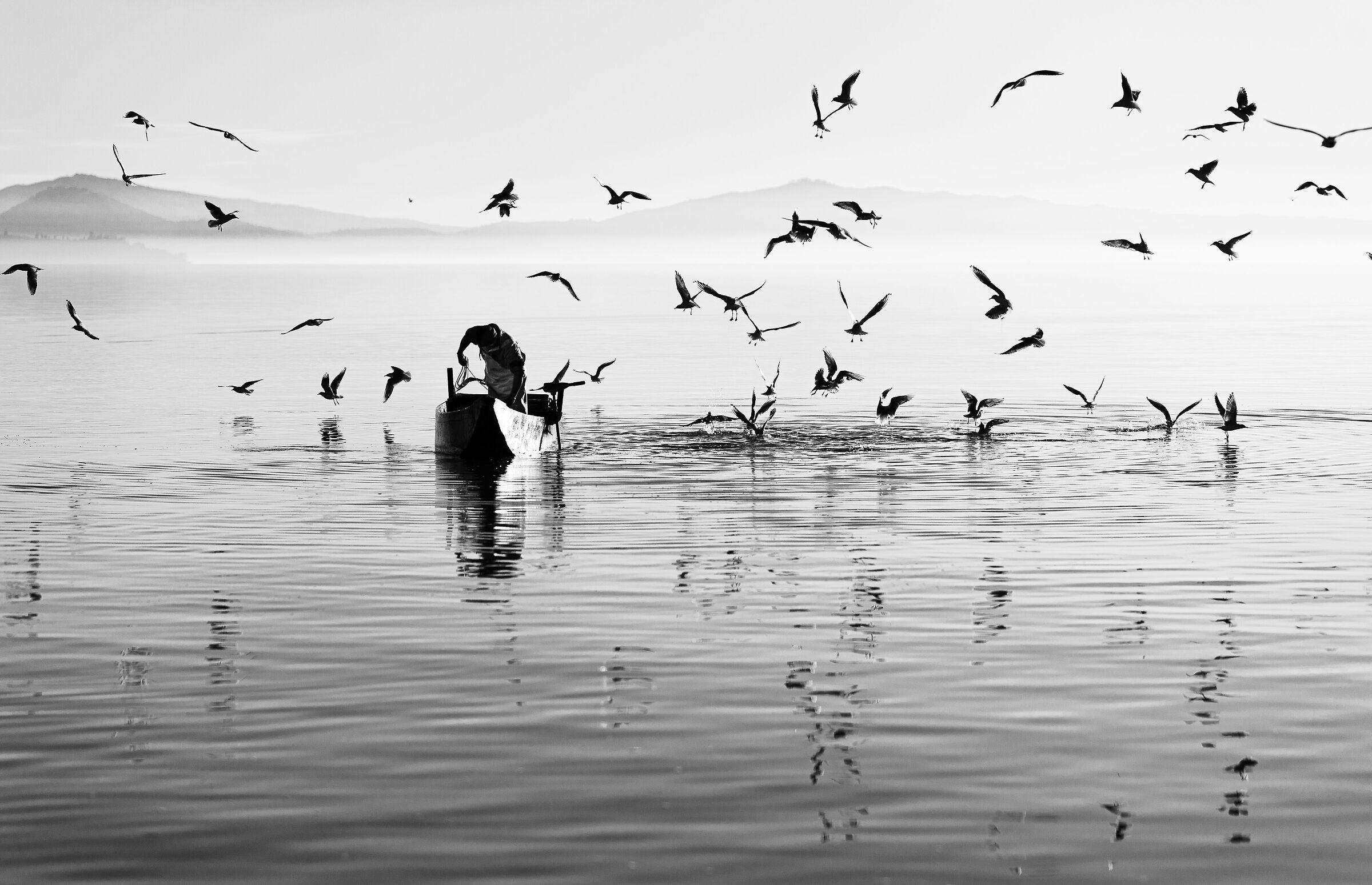 "And then we'll leave, like birds do..."