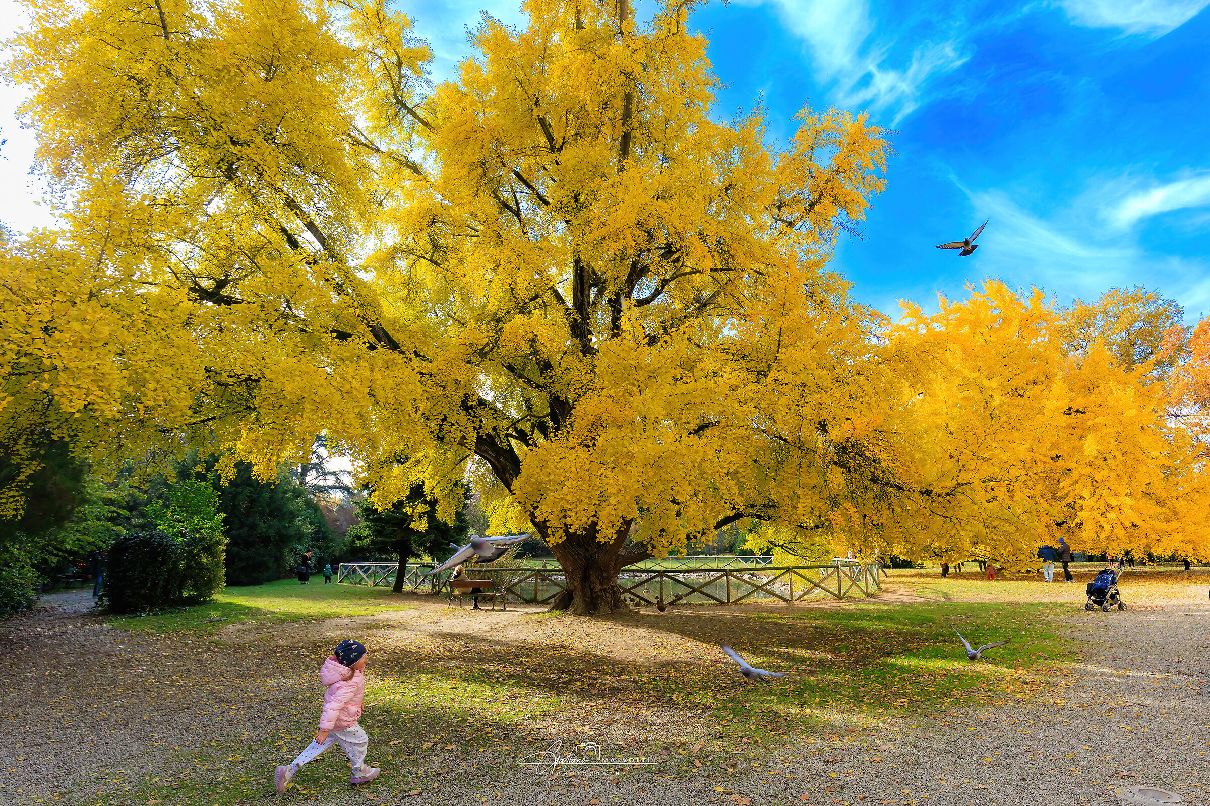 Corri Corri a perdifiato