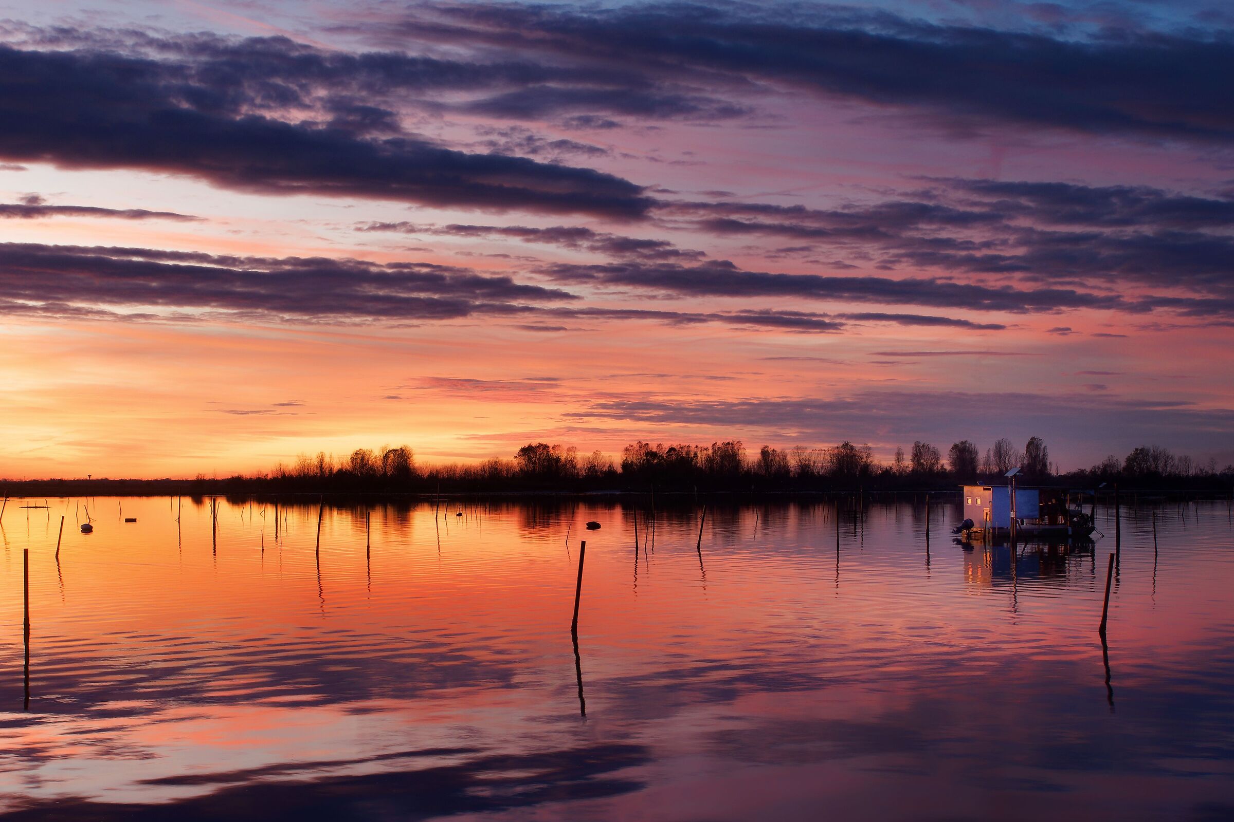 Everything is silent